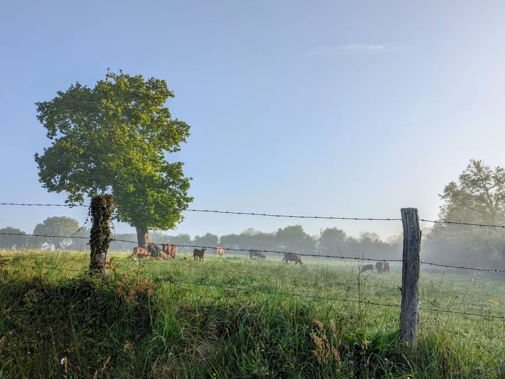 Estate "Le Pressoir" (Die Kelterei)-Dehors