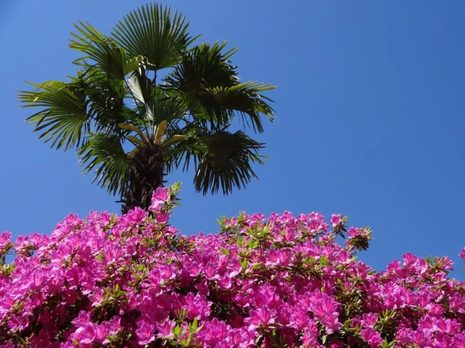 Öko-Haus B Schwimmbad Garten herrlicher Seeblick-Draußen