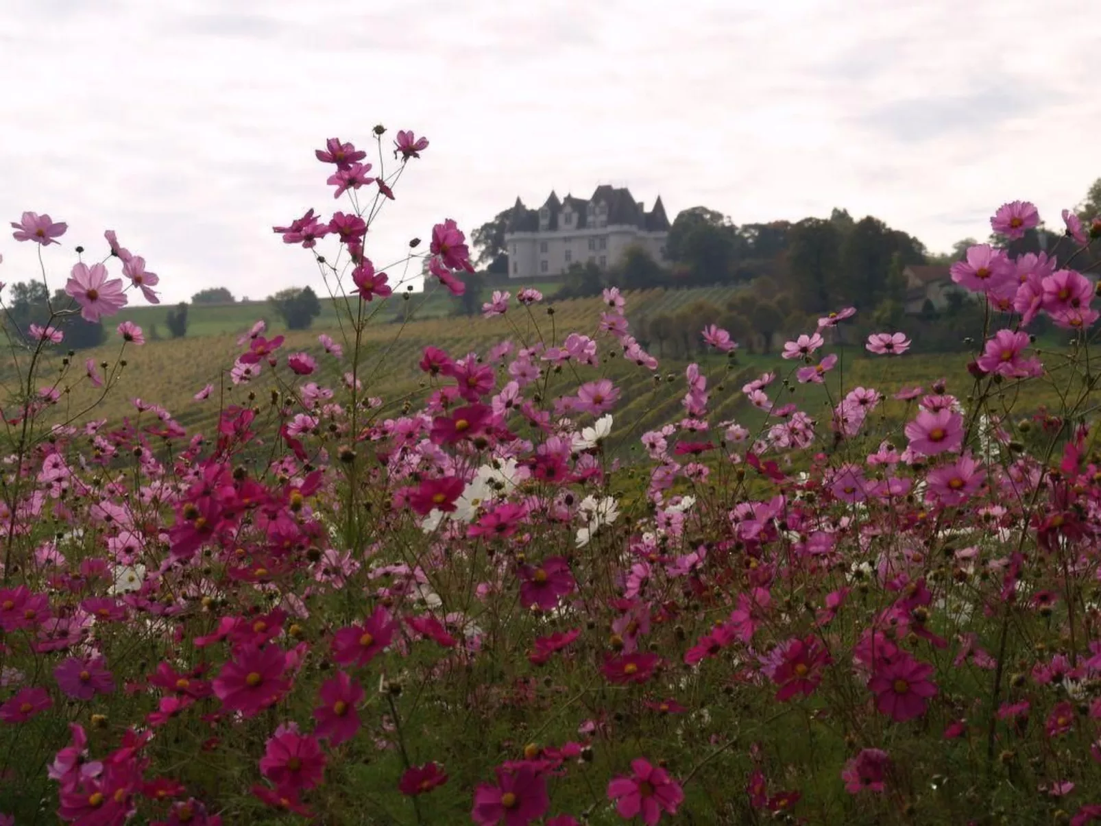 Villa DUXCAAR Beaum.-Draußen