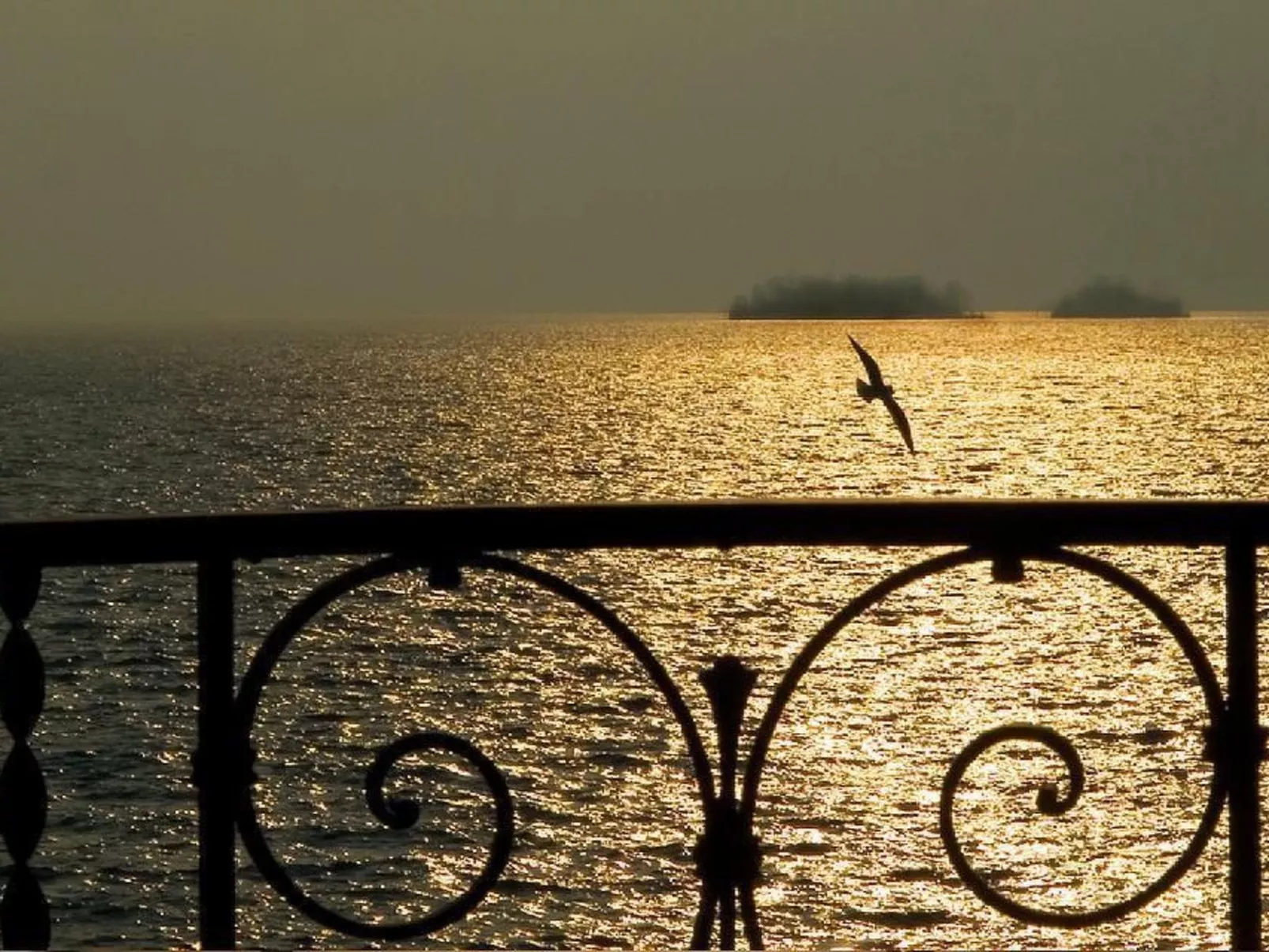 Ascona Nostrana 2-Image-tags.info