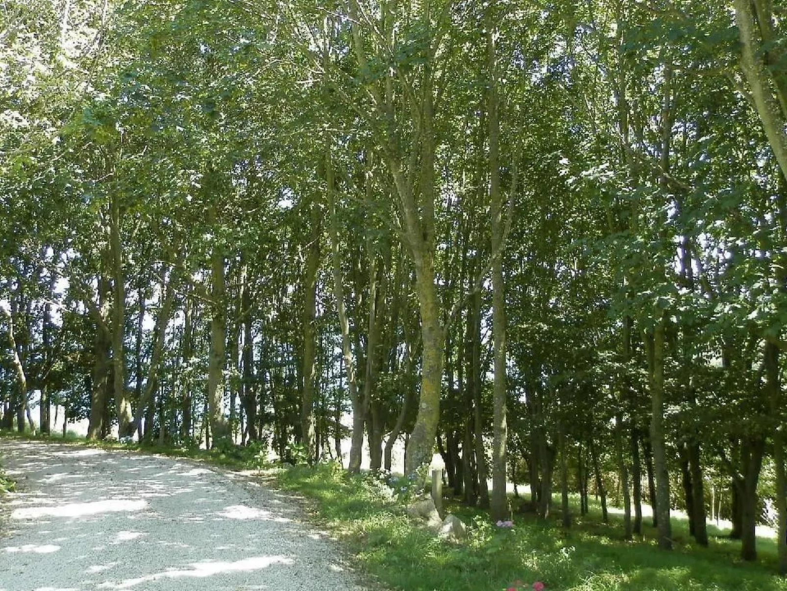 "Tromeal Lasalle" blick auf das Meer. Mit 4 Sternen klassifiziert-Outside