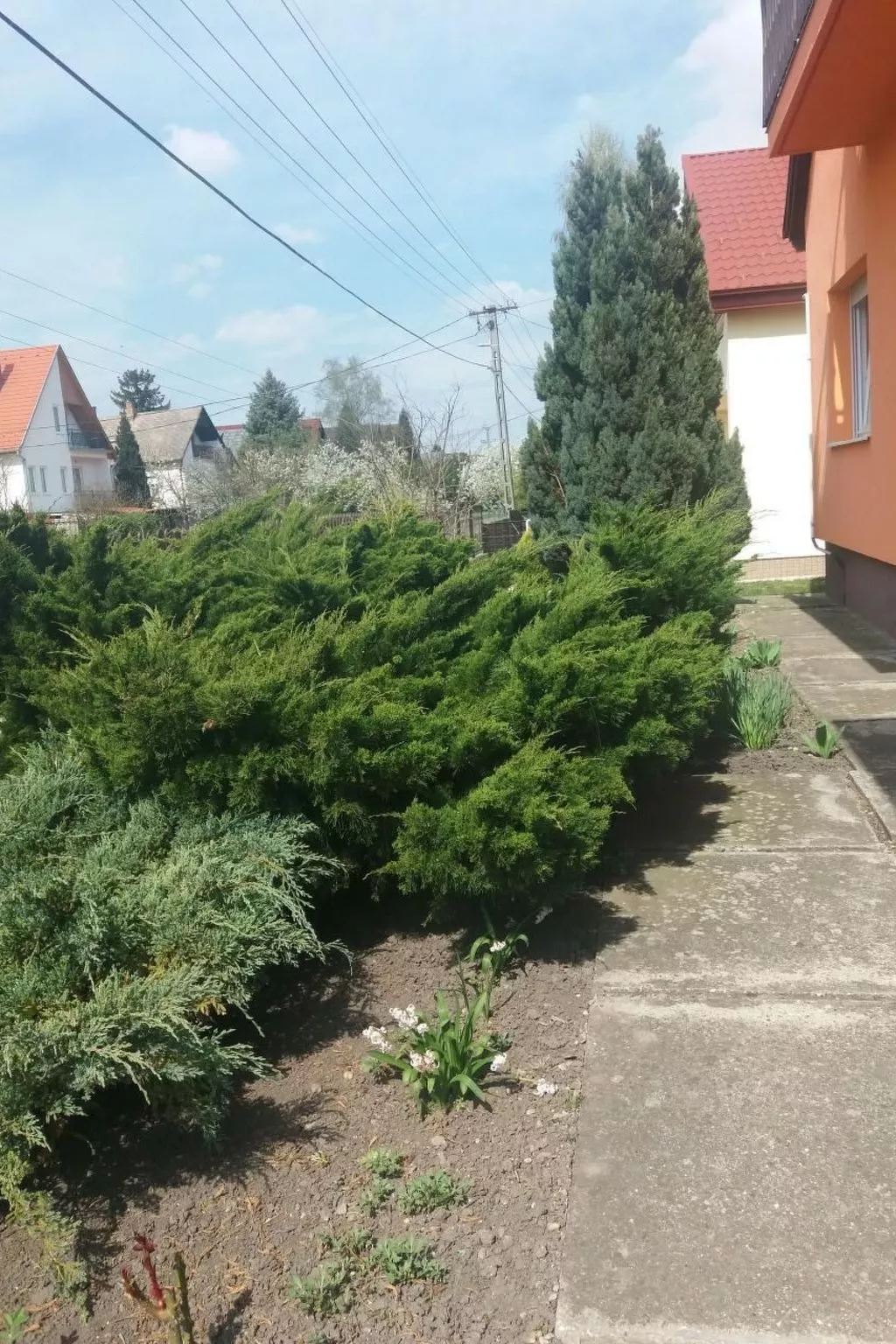 Mit Blick auf das Wasser-Outside