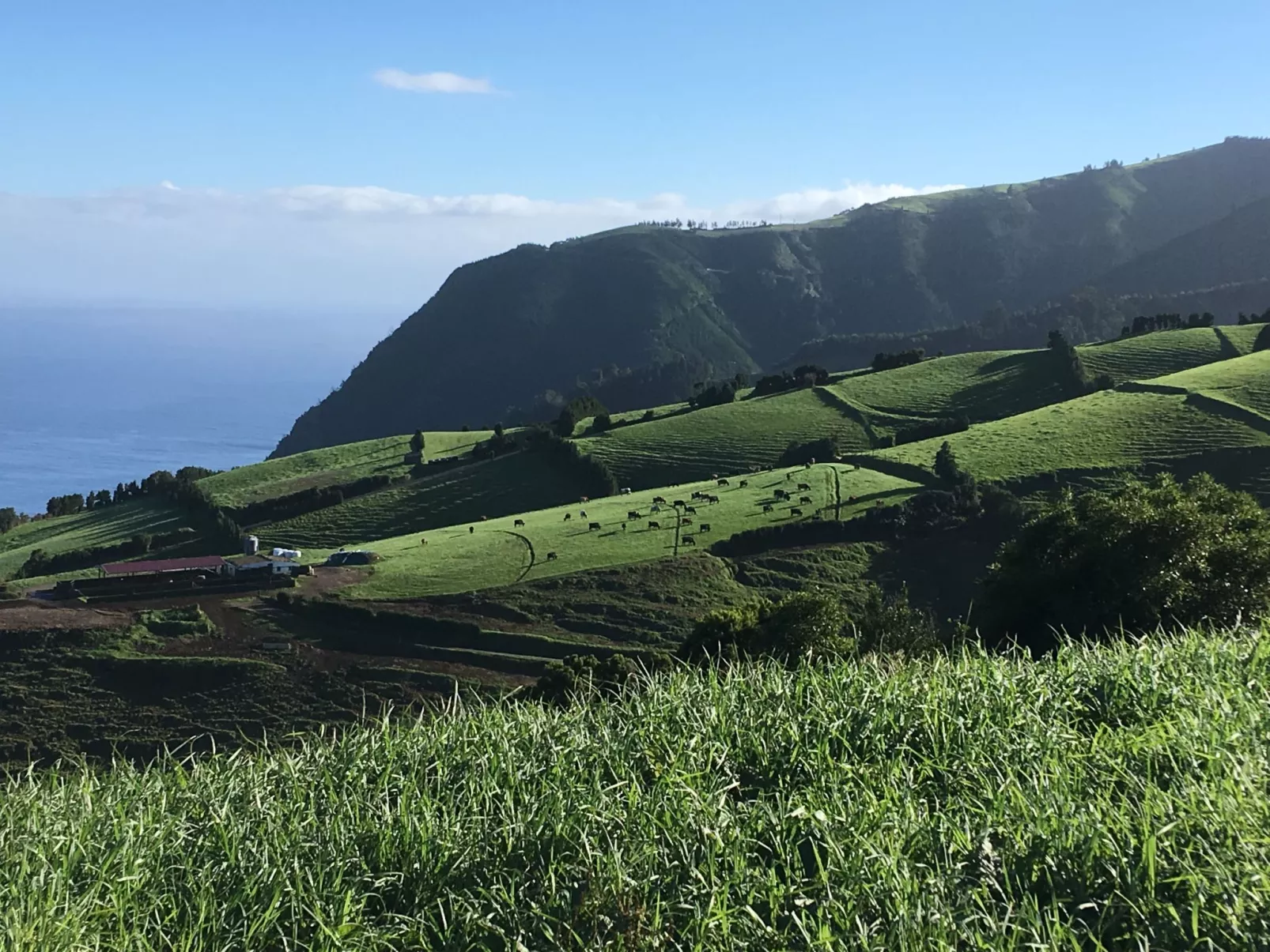 Casabelavista III-Draußen