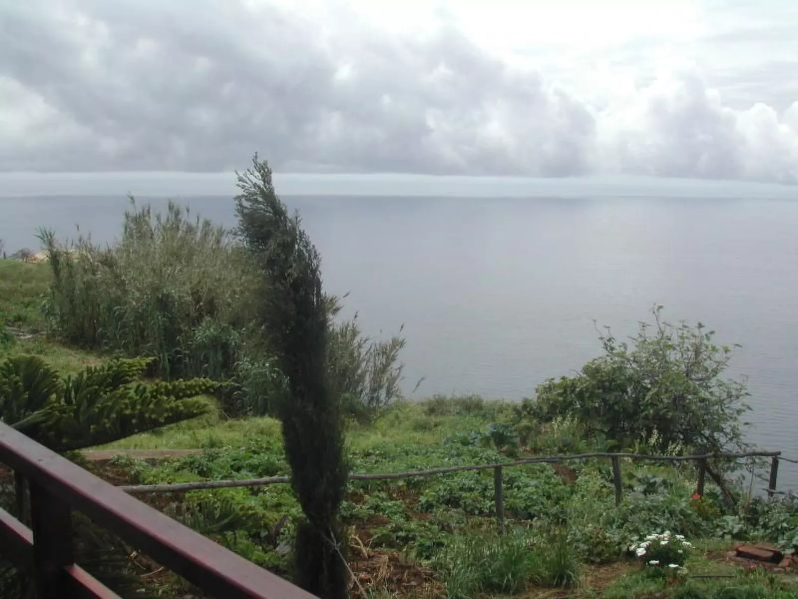 In Canhas mit Schönem Garten-Draußen