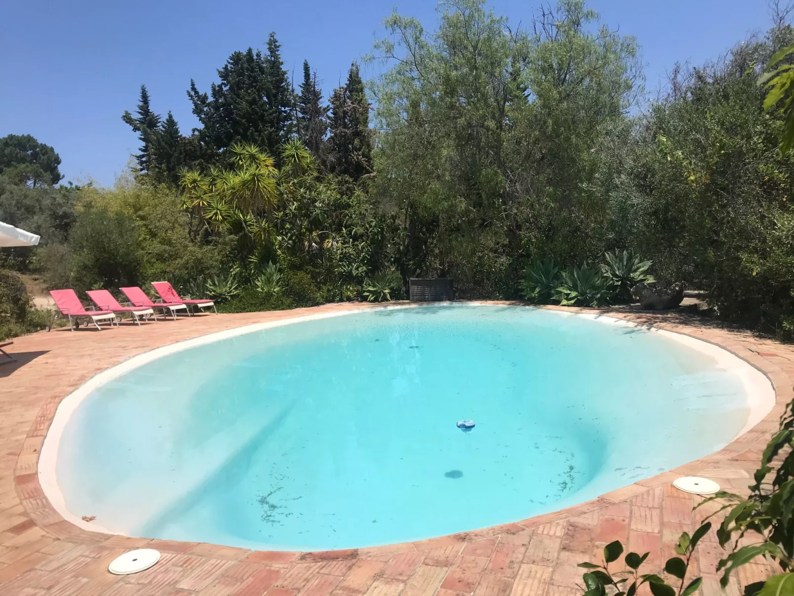 "Quinta do Sol" mit Kamin-Draußen