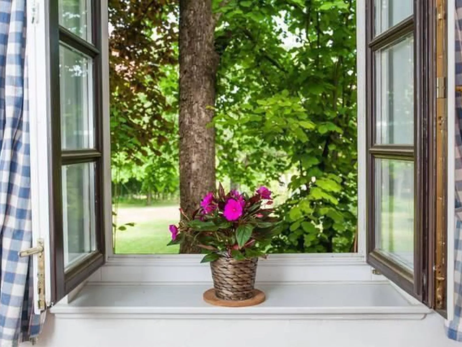 "Orchardviews" mit Terrasse-Dedans