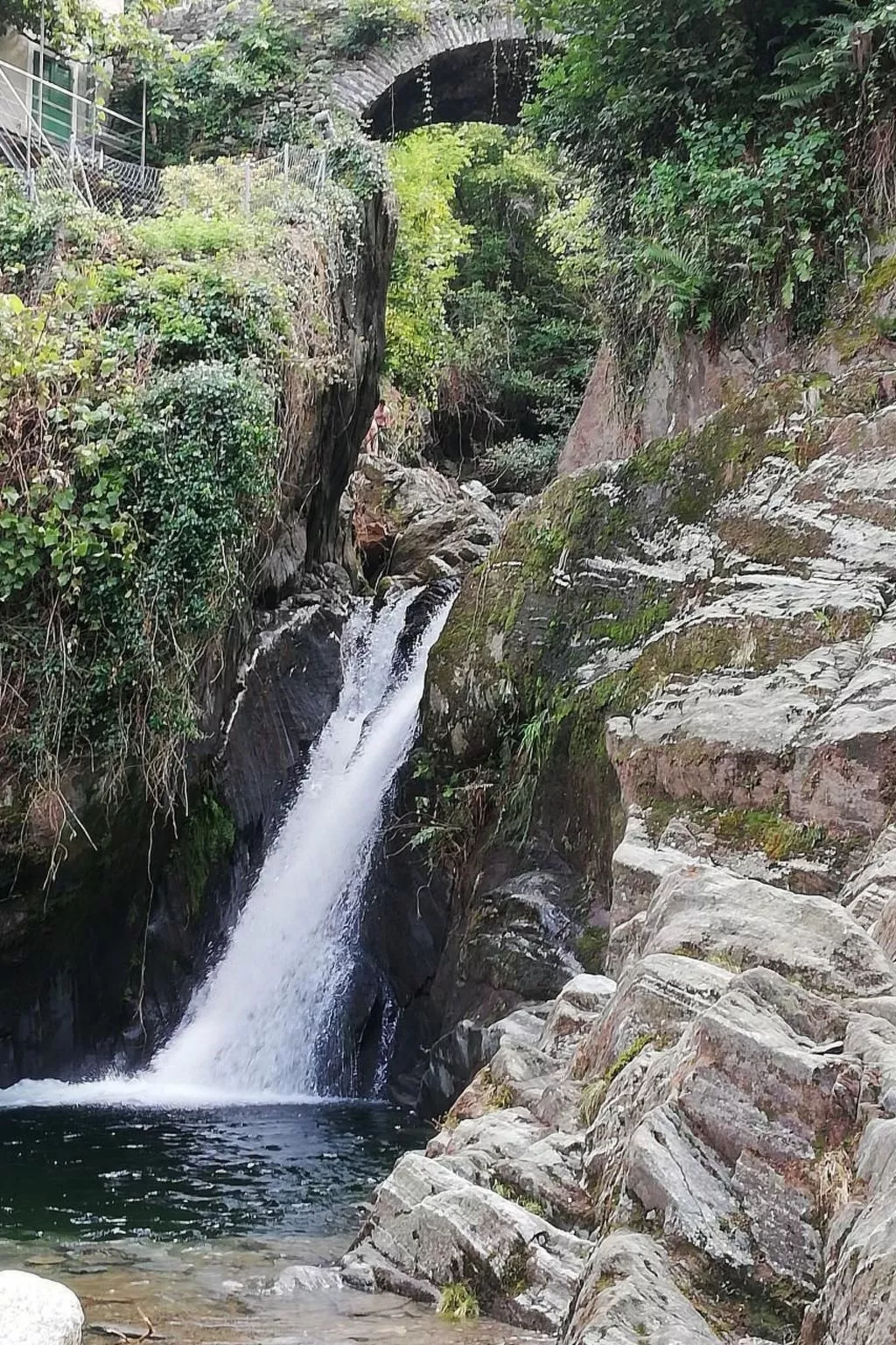 Residenza Viramonte - Casa Fiona, Wohnung 52 - Draußen