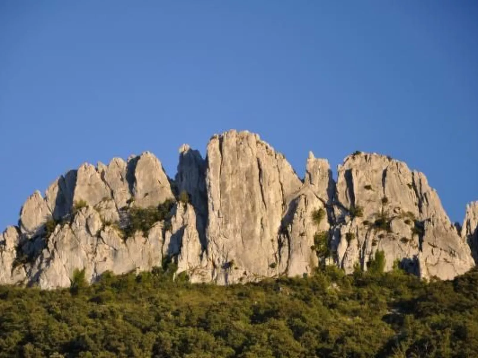 FERIENHAUS, FERIENHAUS "MAISON DE LAVANDE" (LAVENDELHAUS)-Dehors