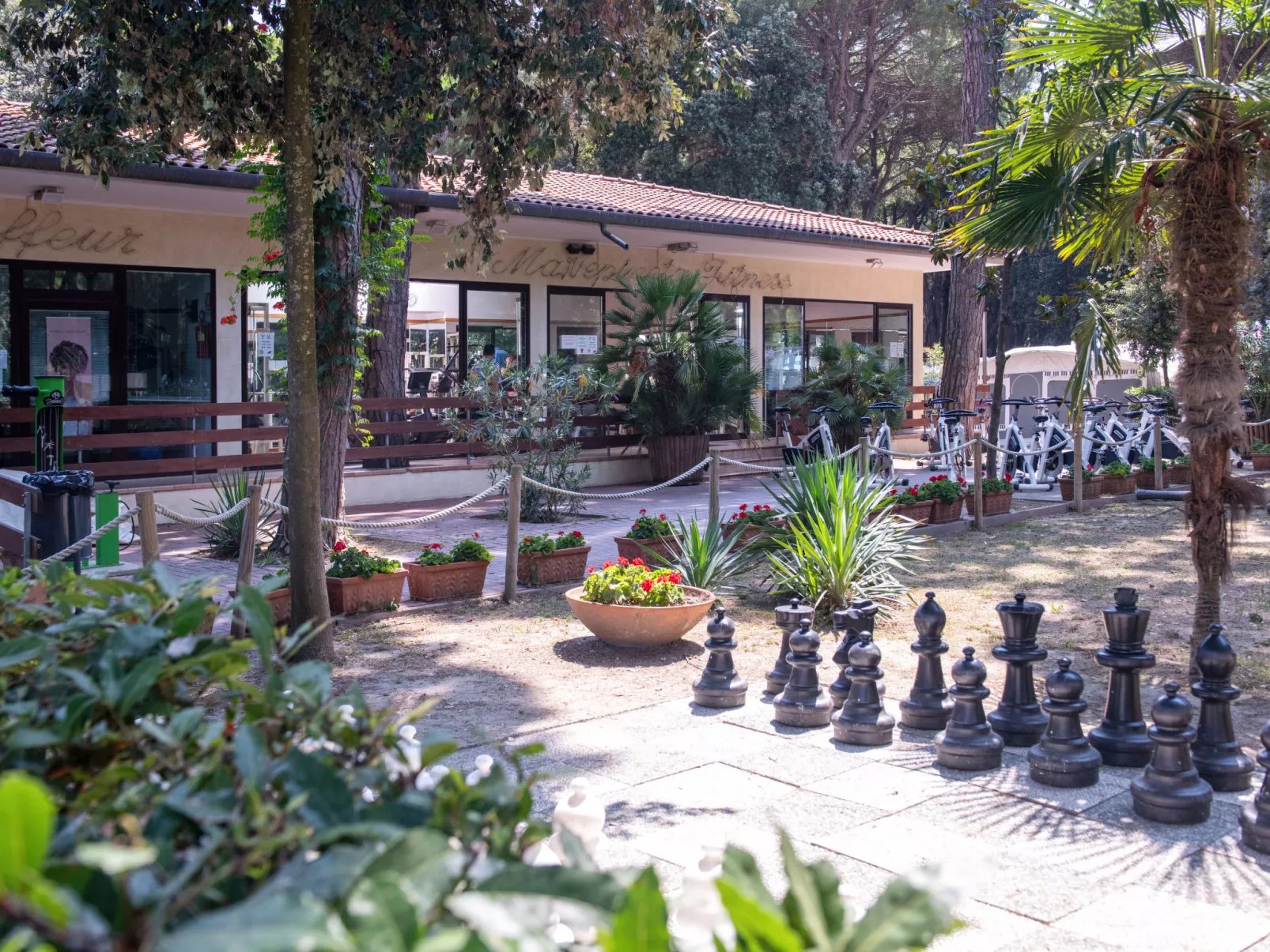 Mare e Pineta-Inside