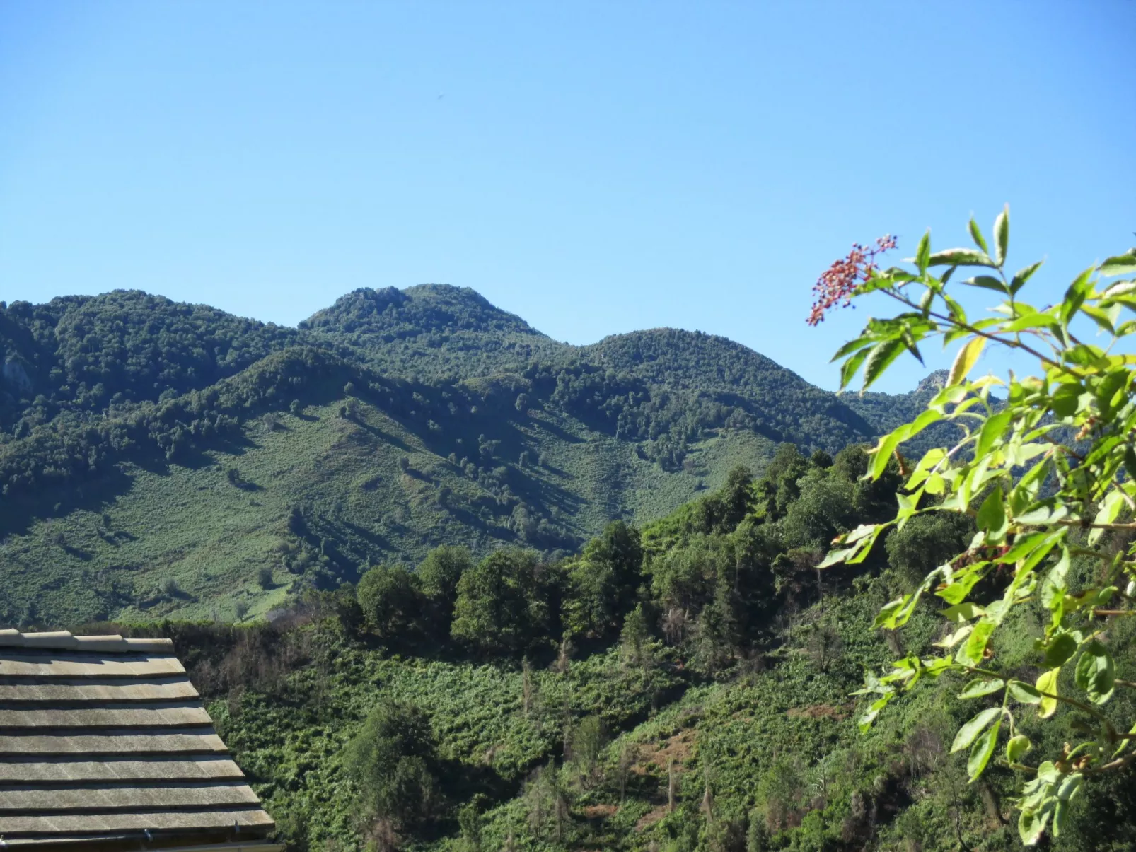 Sole e Ventu 50qm-Image-tags.info