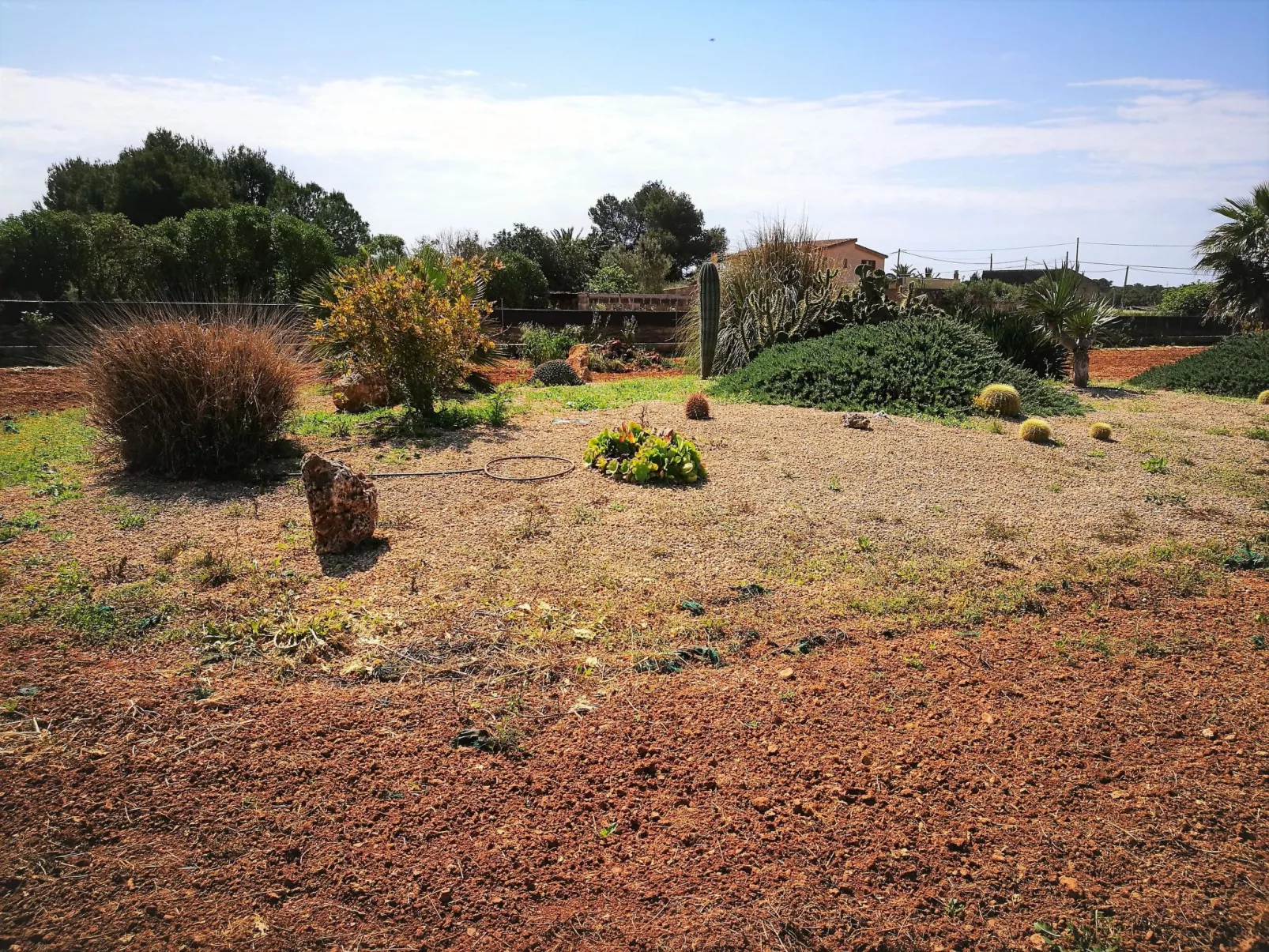 Finca Alegria-Outside