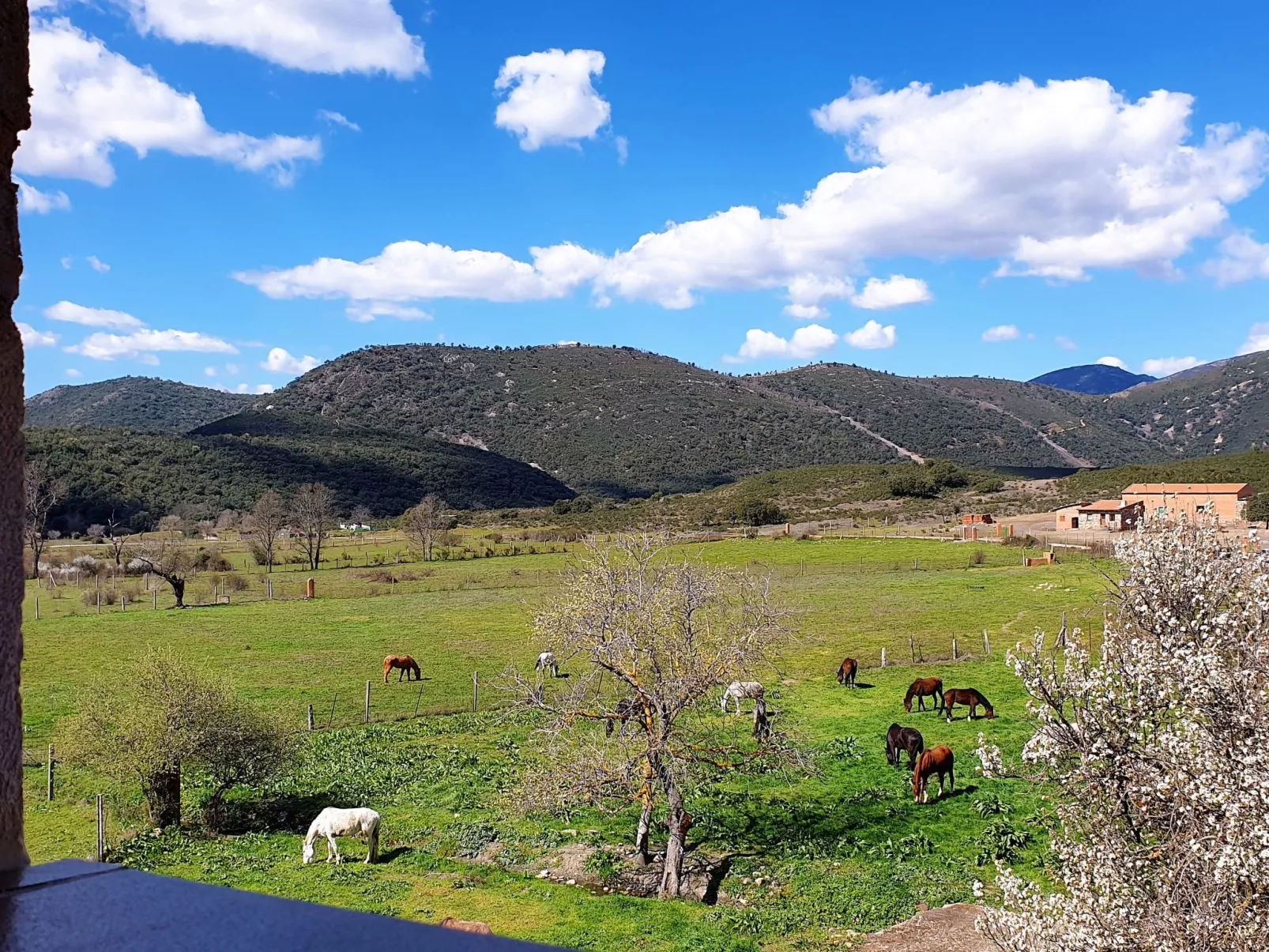 Mit privatem Pool-Outside