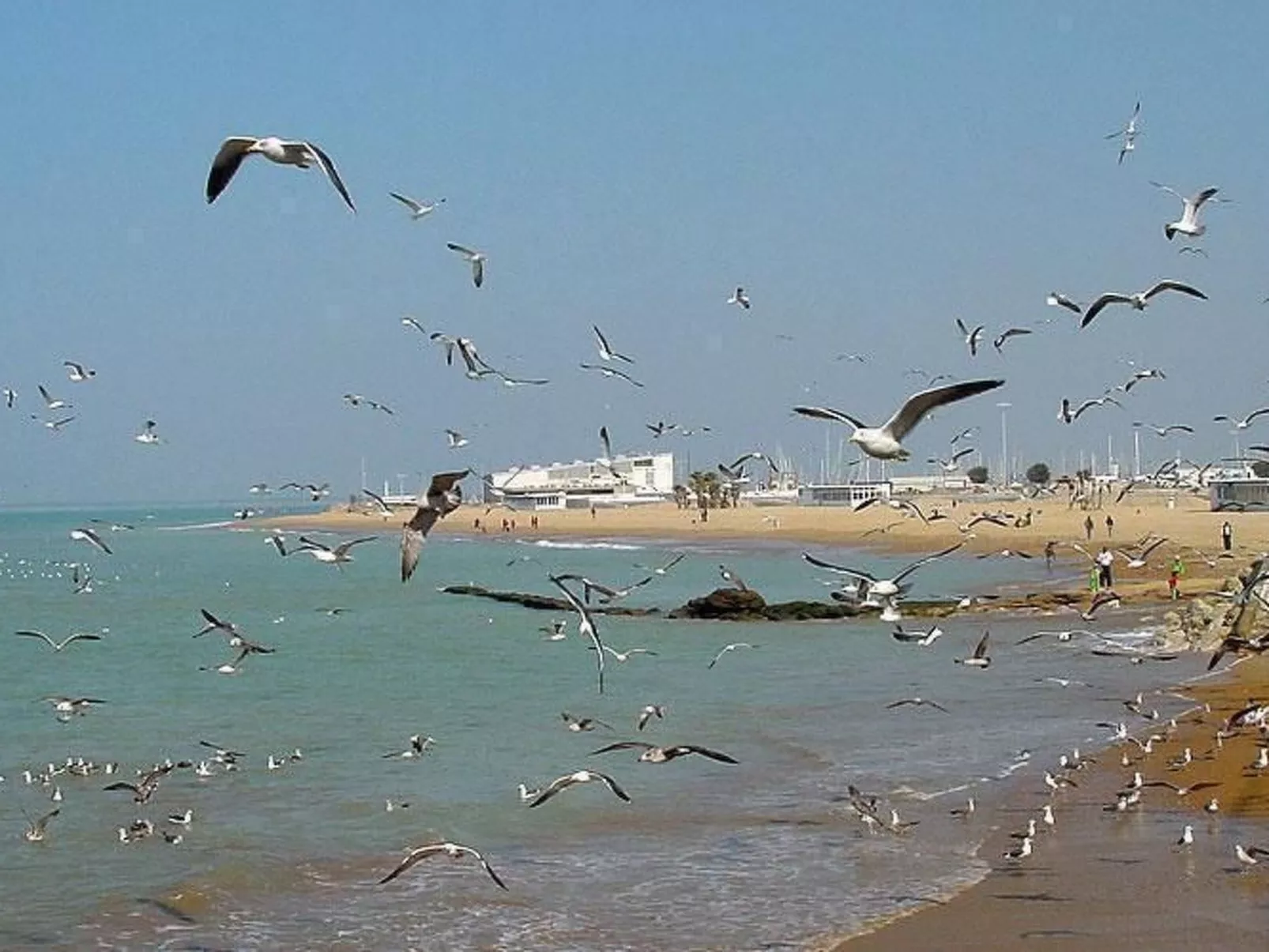 Touristenwohnung "Apartment" mit Terrasse-Image-tags.info