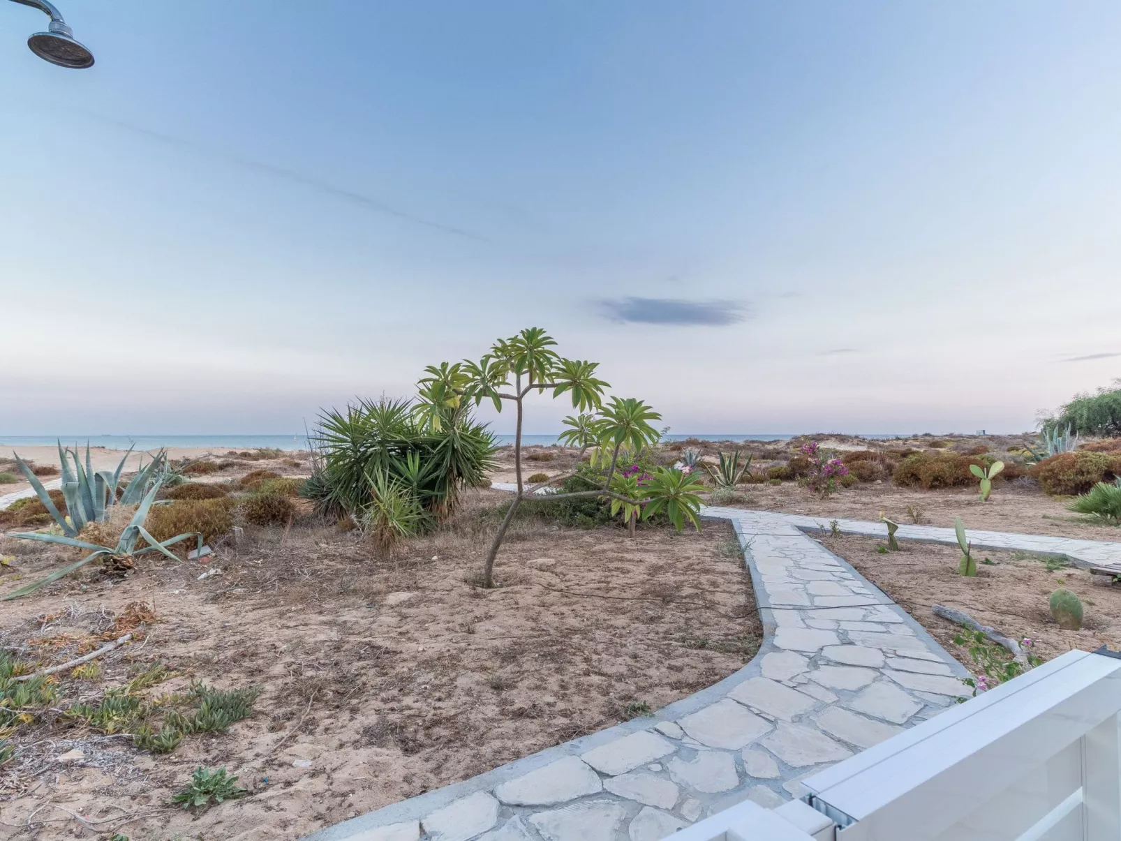 Amarillis, Wohnung am Strand-Image-tags.info