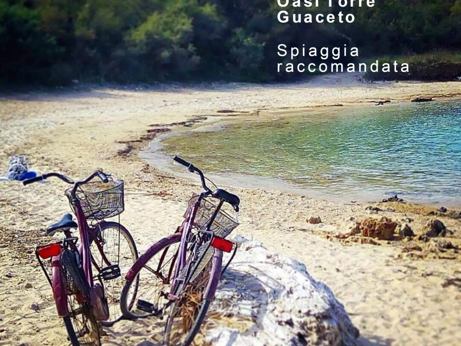 Trullo für Ferien in Apulien-Image-tags.info