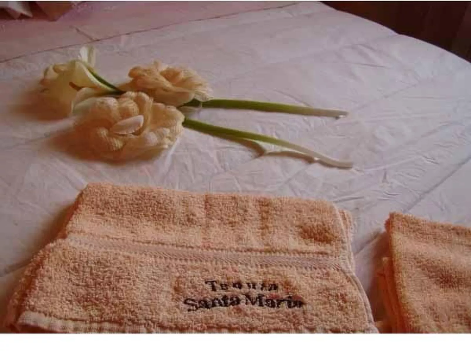 In Notaresco mit Grill und Garten-Drinnen