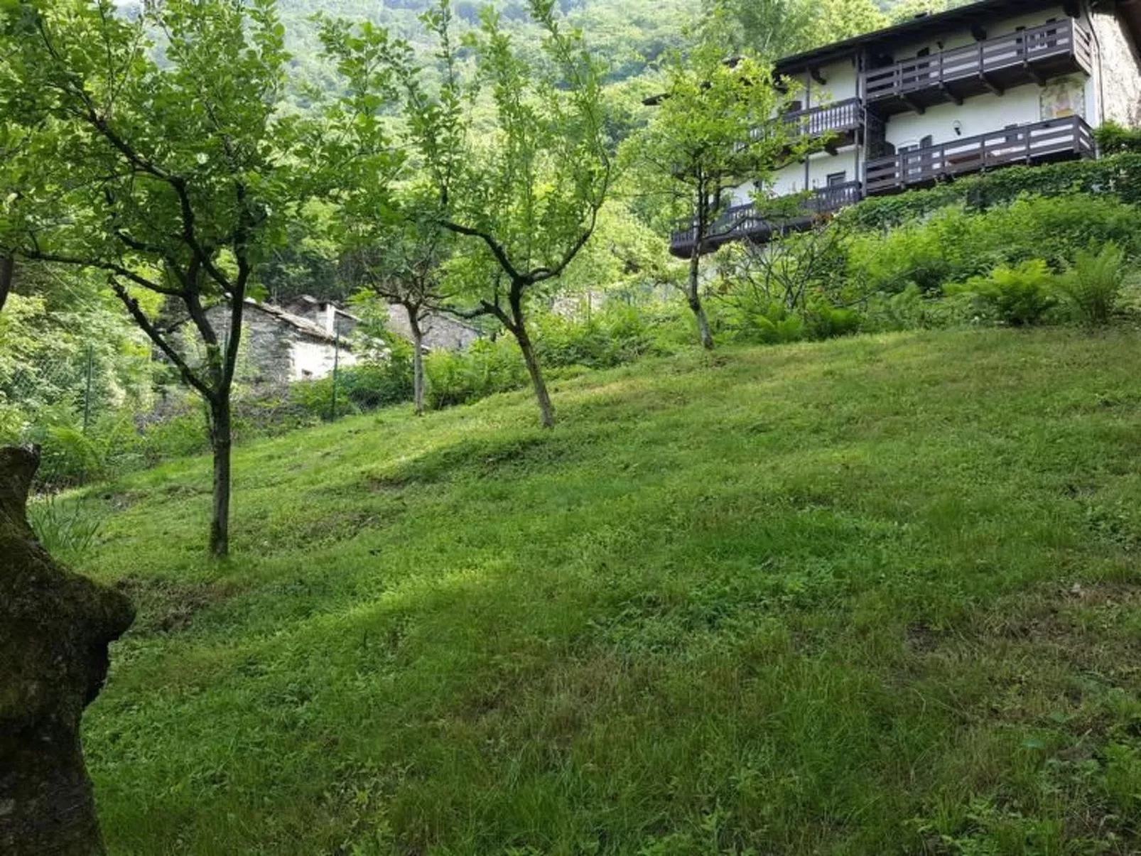 'Ca Ronit-Image-tags.info