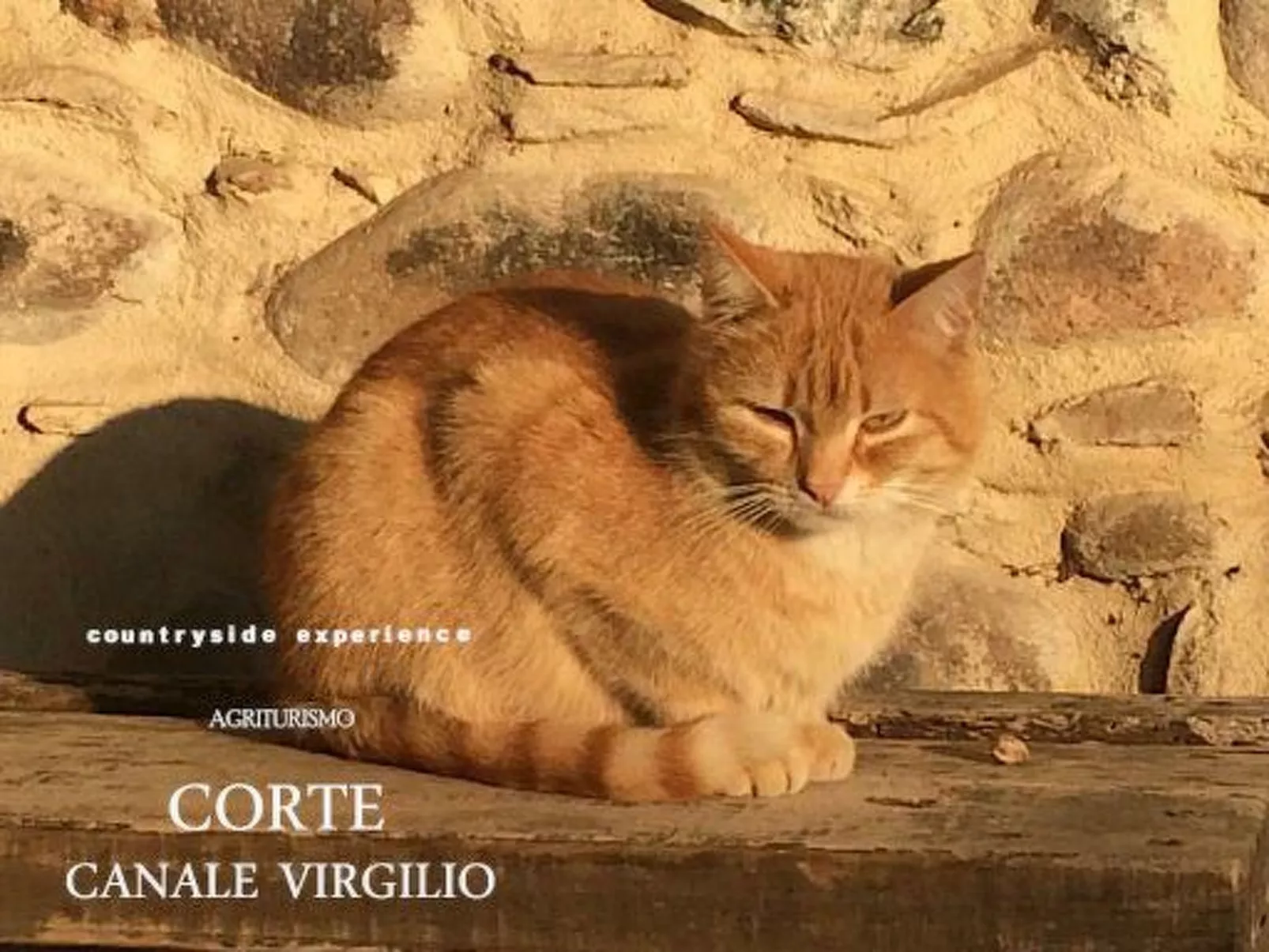 Das Landgut "Corte Canale Virgilio" mit Balkon-Dehors