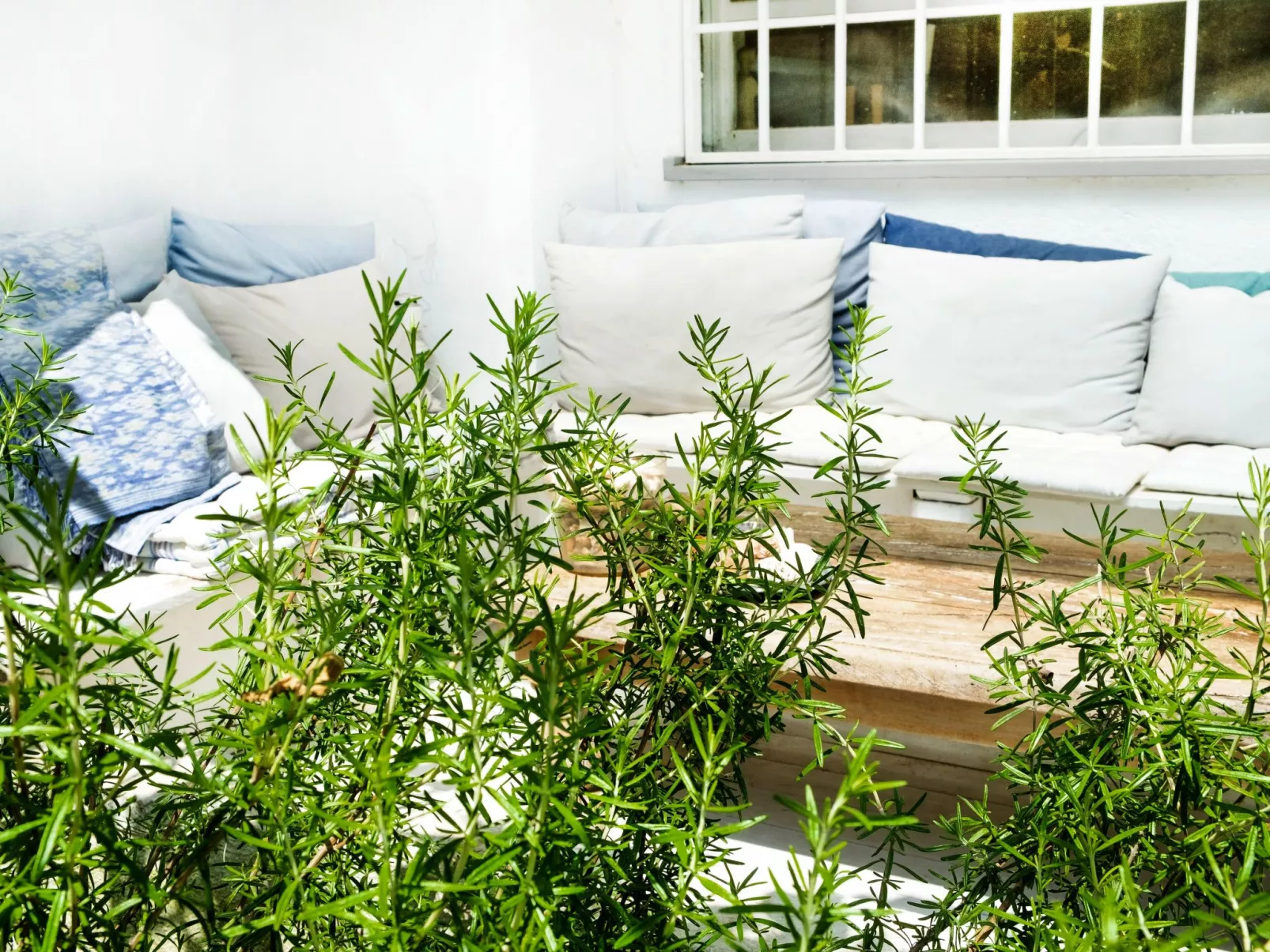 Rom Palocco - Wohnung mit Garten-Dehors