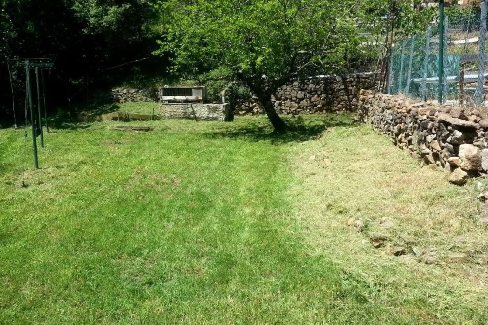 Mirabeau-Garten Sommer