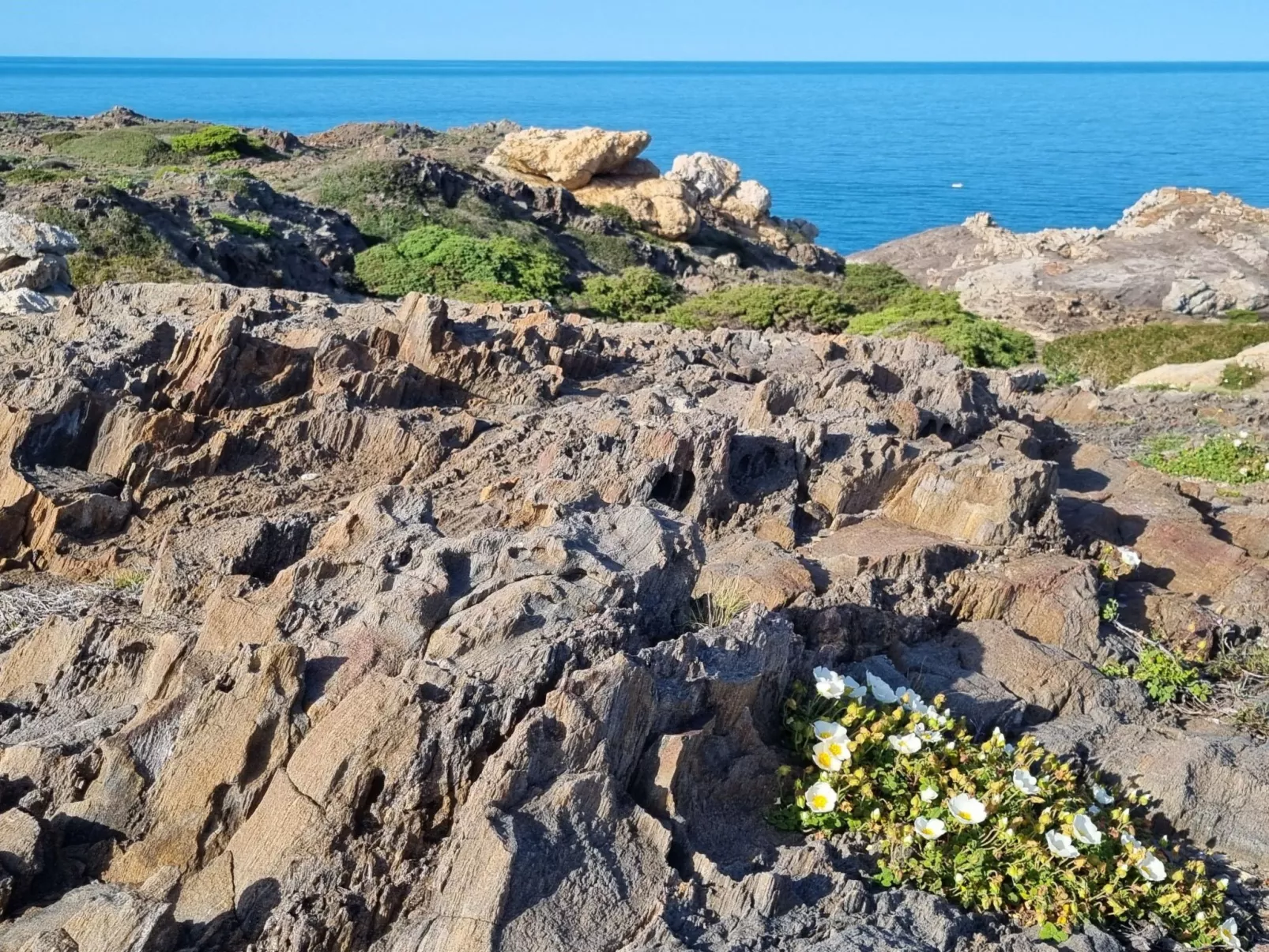 Sunnesching-Image-tags.info