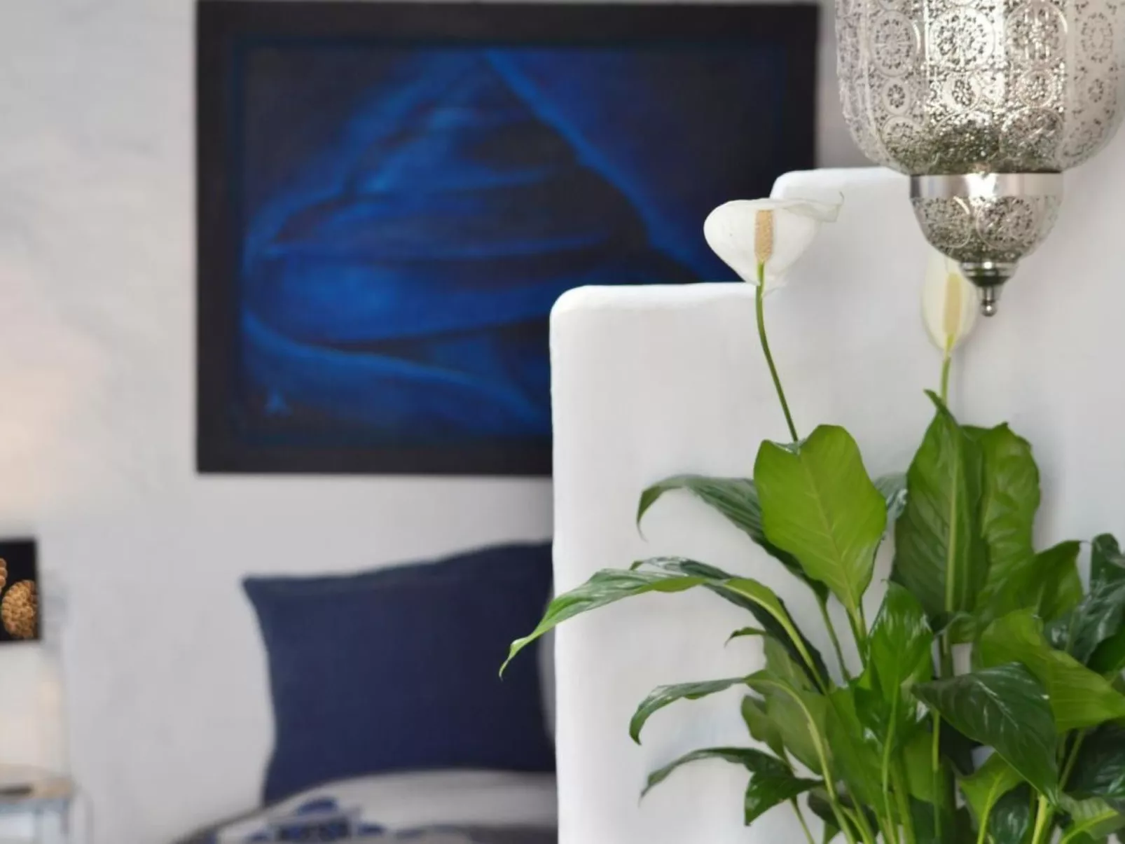 Casita Aloe in Uga-Image-tags.info