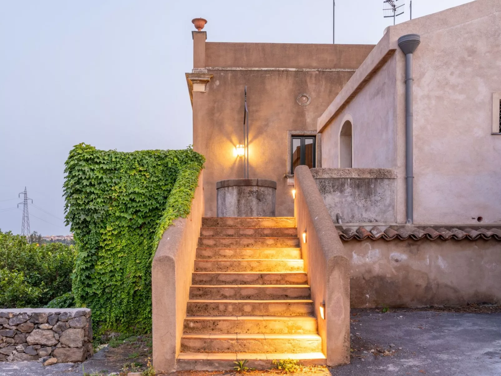 Avocado Garten-Image-tags.info