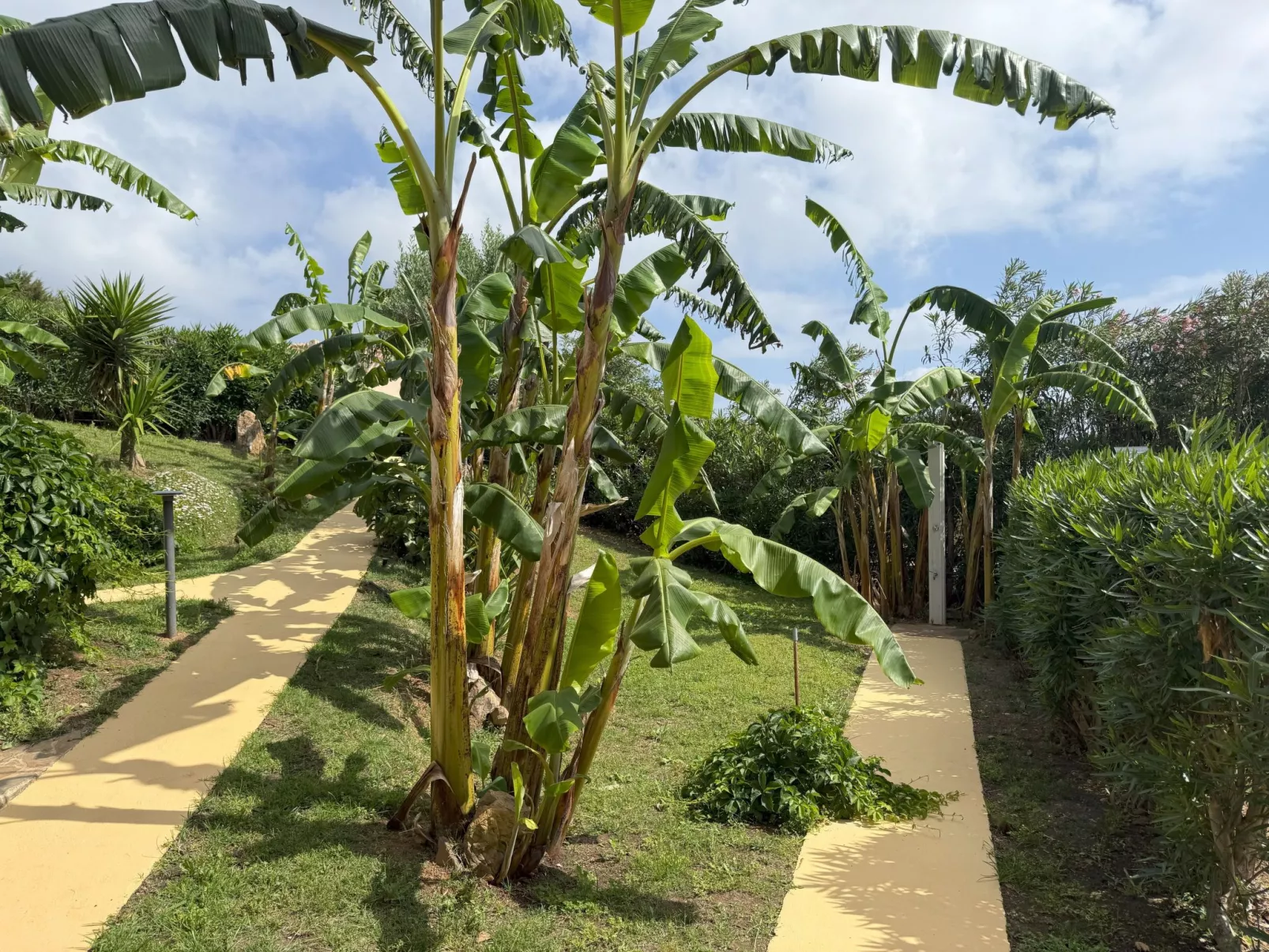 Villa in Banani-Image-tags.info