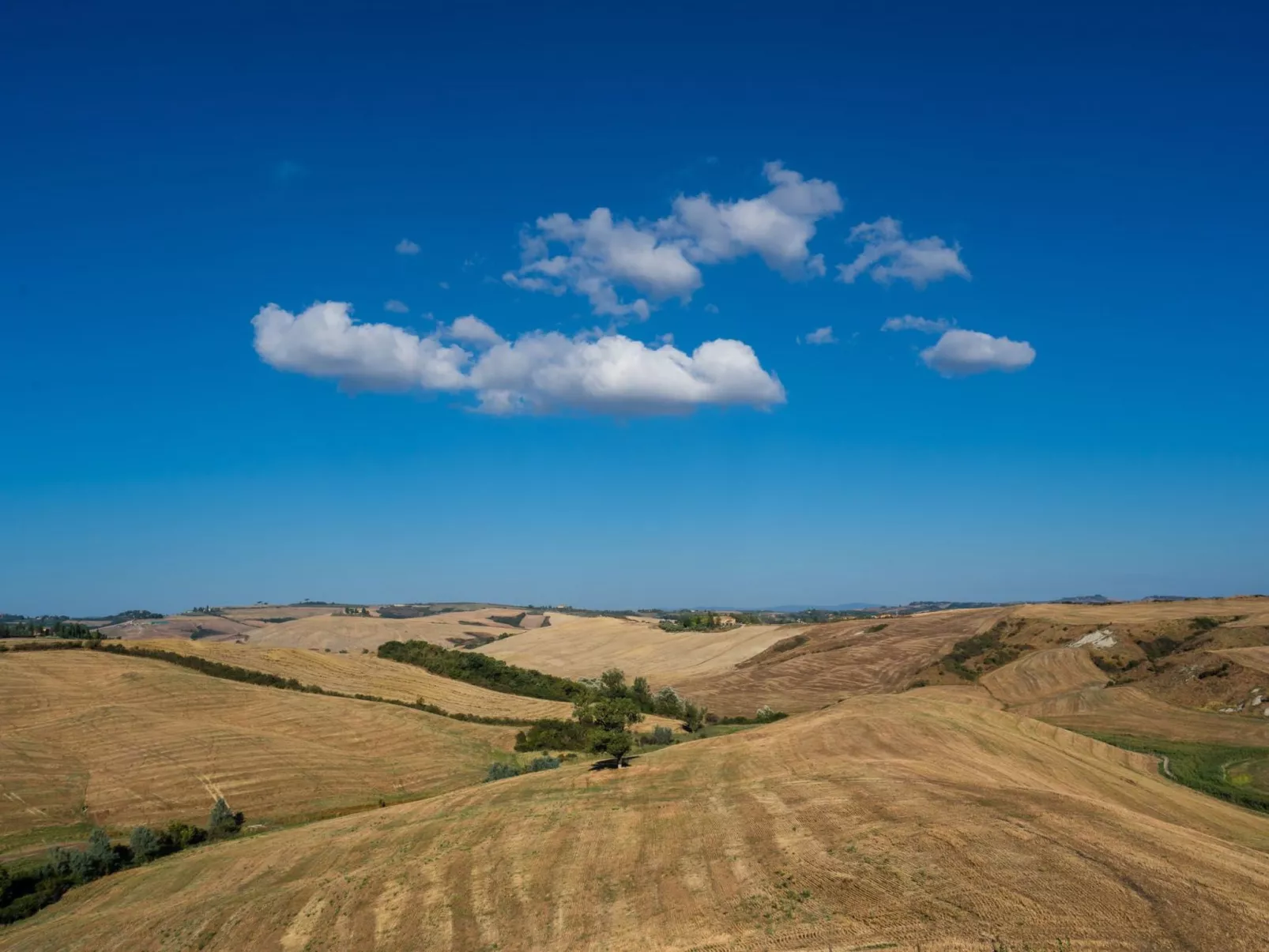 Haus Fiordaliso - Podere Fossaccio-Outside