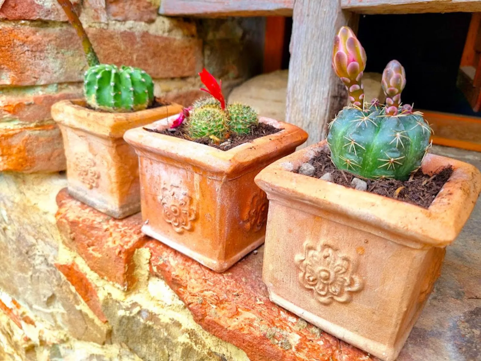 Podere Mencoini Elegante Villa mit Pool und Olivenbäumen-Outside