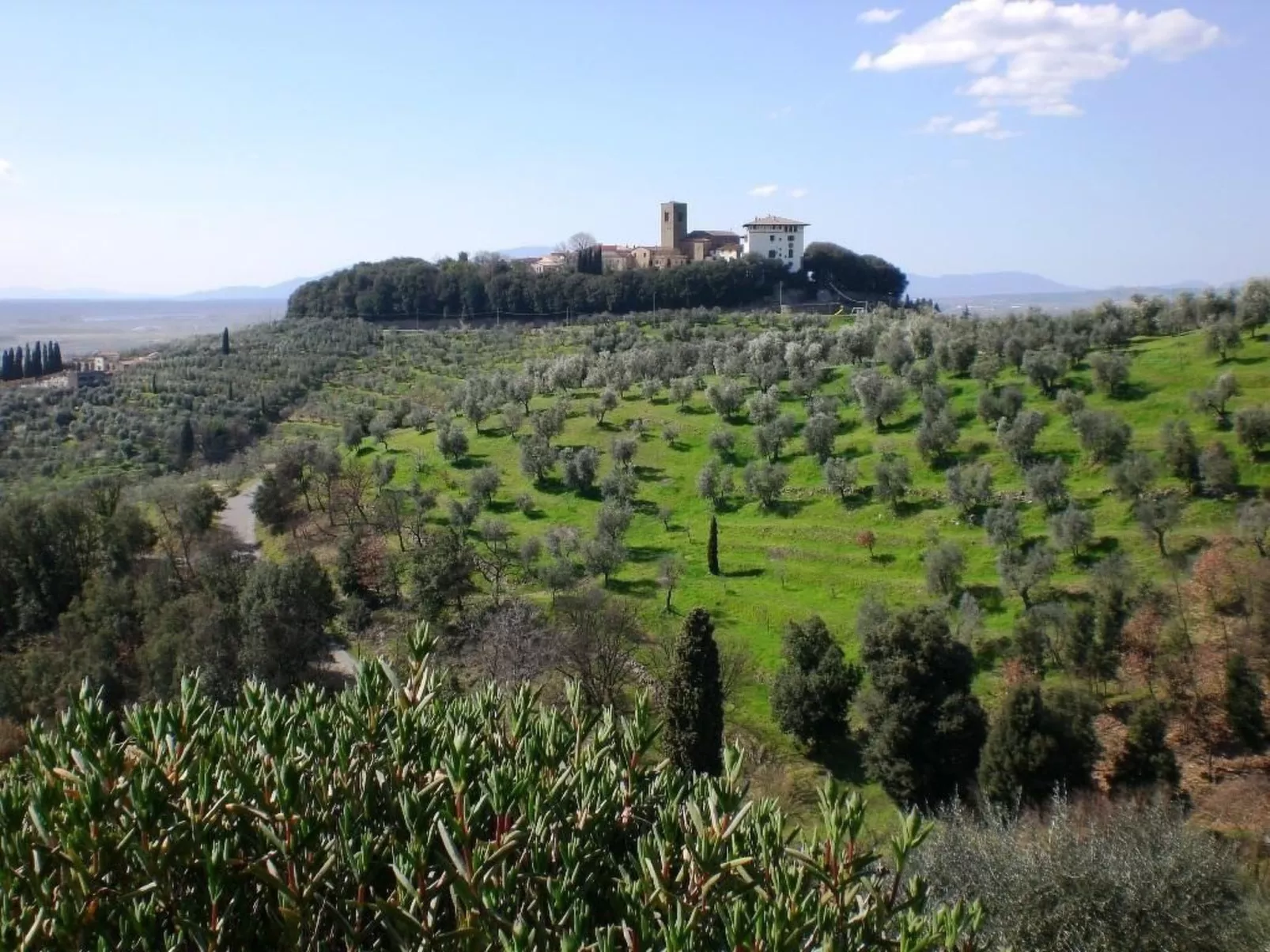 Toskanische Villa 14 Personen Ultra-Panoramapool-Image-tags.info