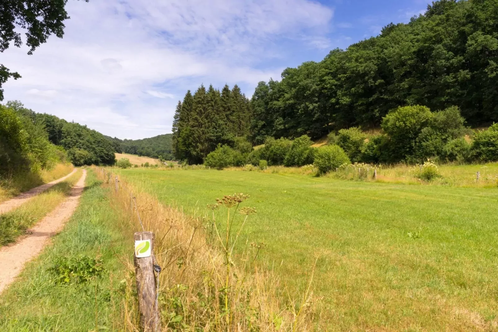 Bungalow Luxus Typ B Campingpark Eifel-Gebiete Sommer 1 km