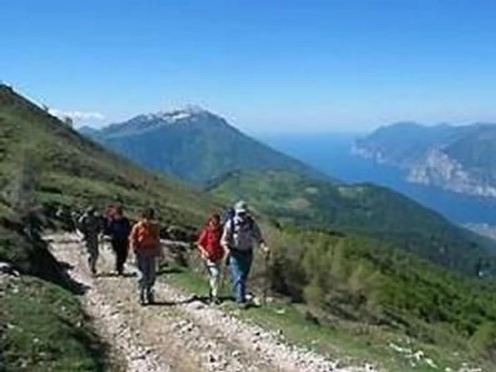 FeWo C-36-Image-tags.info