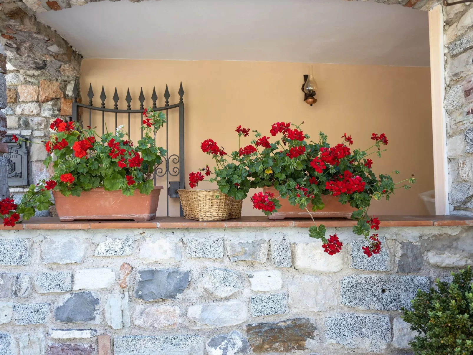 'Casa Rita 2-Image-tags.info