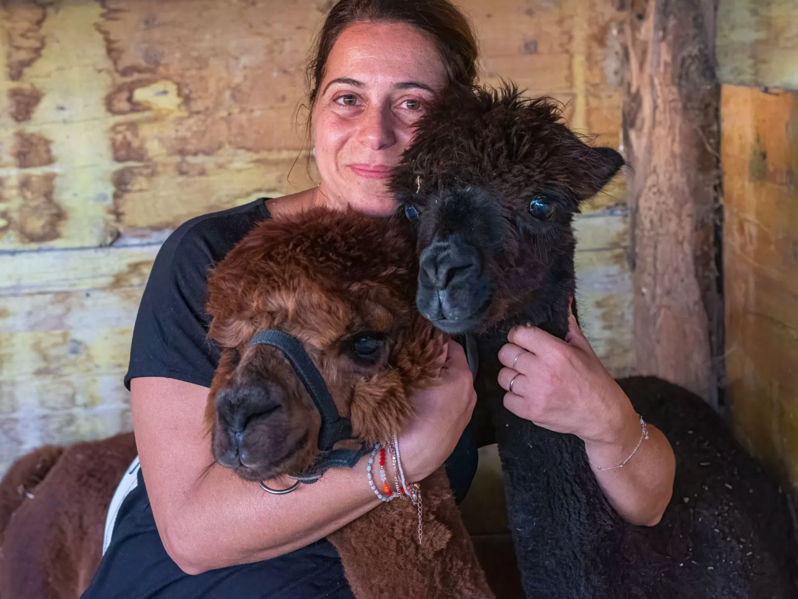 Kormoransee Ferien-Image-tags.info