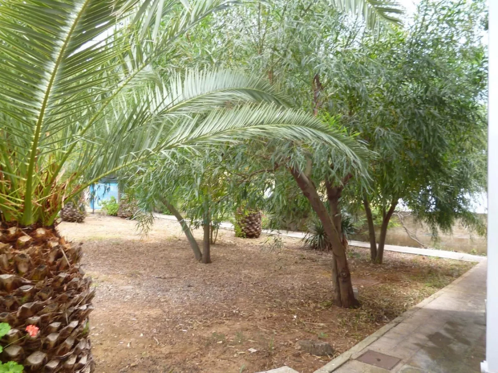 Wohnung in einer Residenz, nur wenige Meter vom Meer entfernt-Image-tags.info