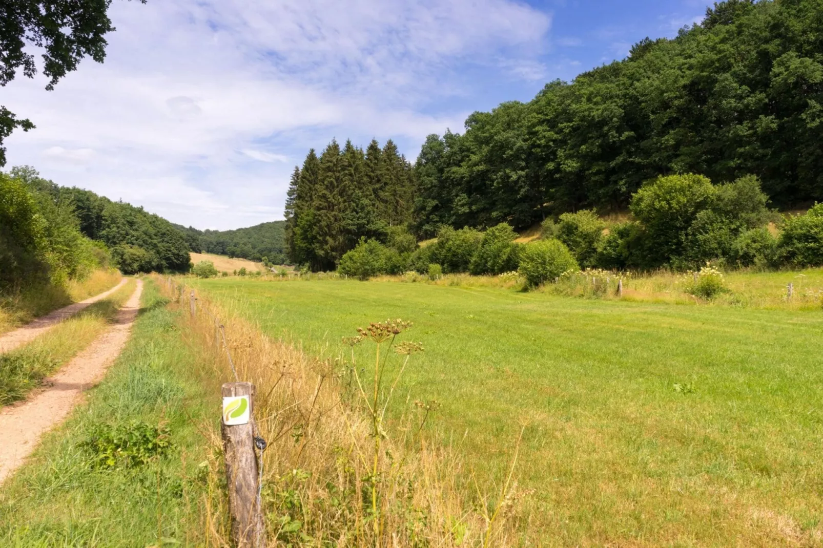 Bungalow Luxus Typ Z Campingpark Eifel-Zones d'été à 5 km
