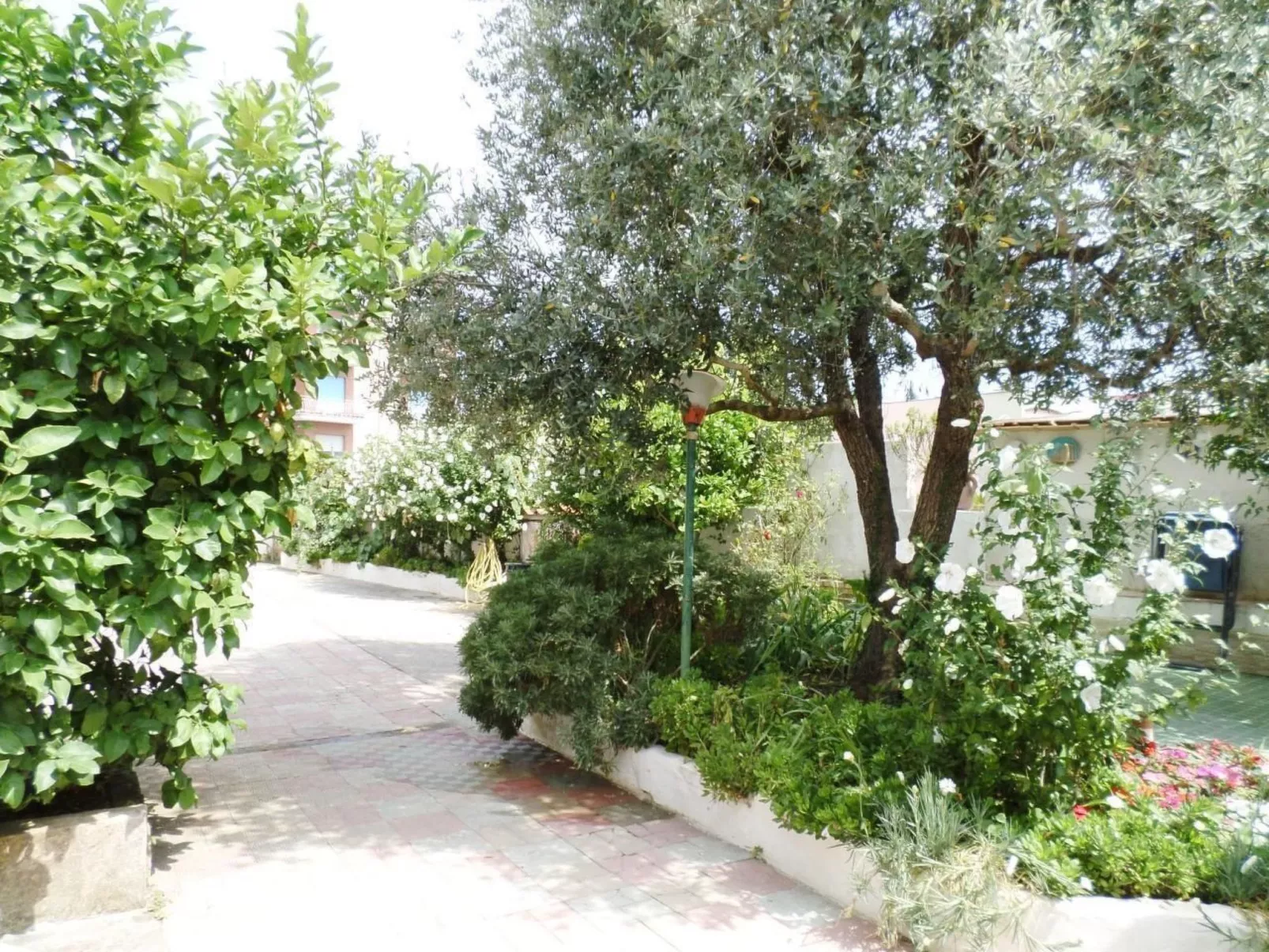 Das Landhaus von Kleopatra und Marcantonio-Outside