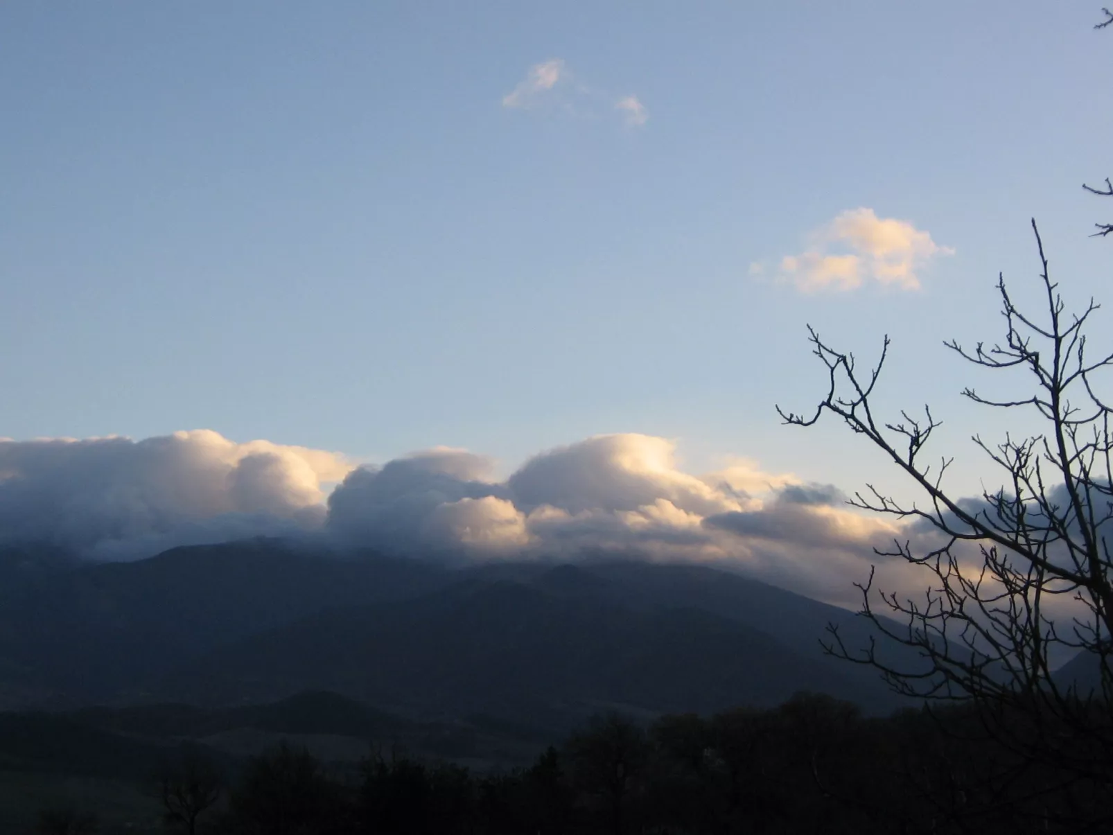 Girasoli in Cagli-Dehors