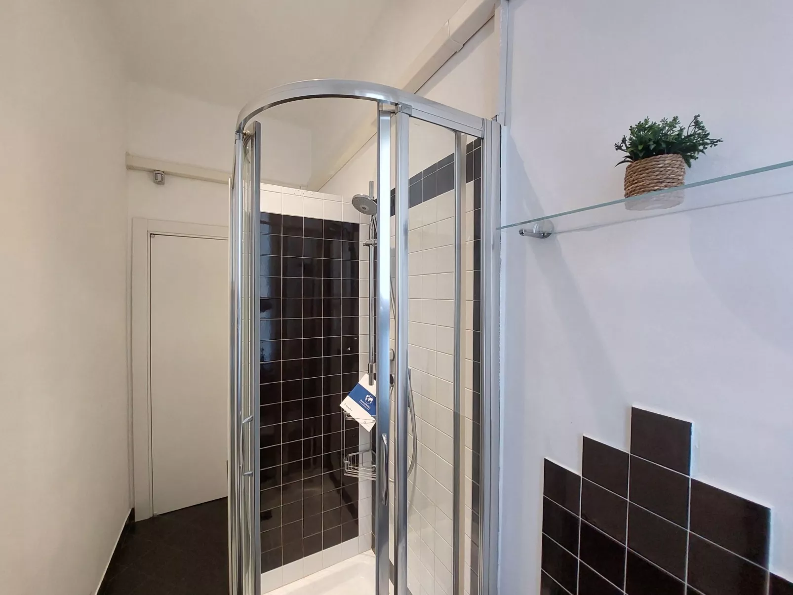 Cavallotti 7 von Holiday World-Drinnen