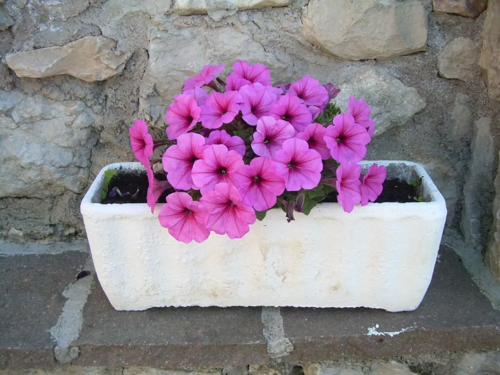 Mit Blick auf das Wasser-Draußen