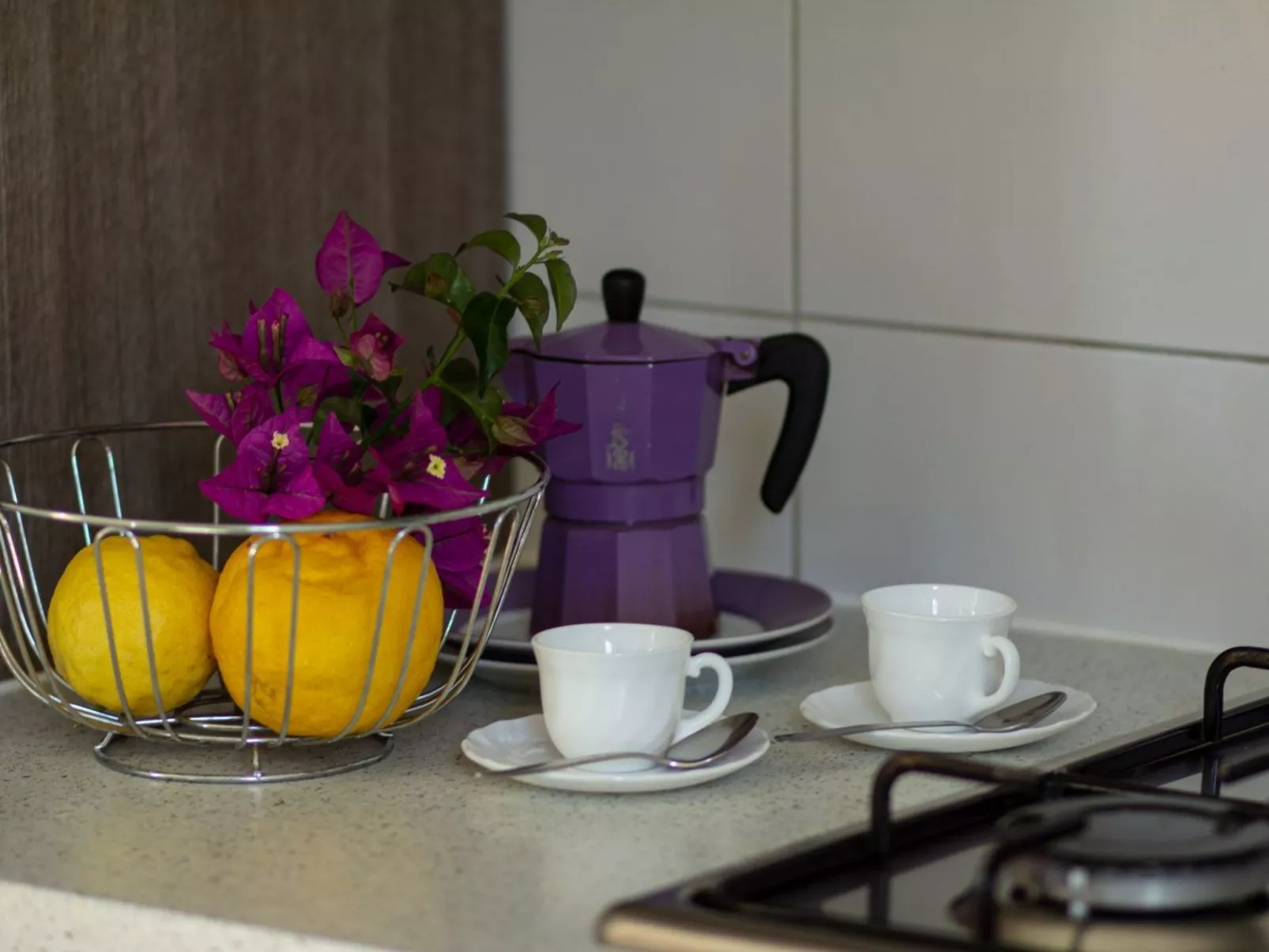 Komfortable Ferienwohnung in Cervo mit Garten-Image-tags.info