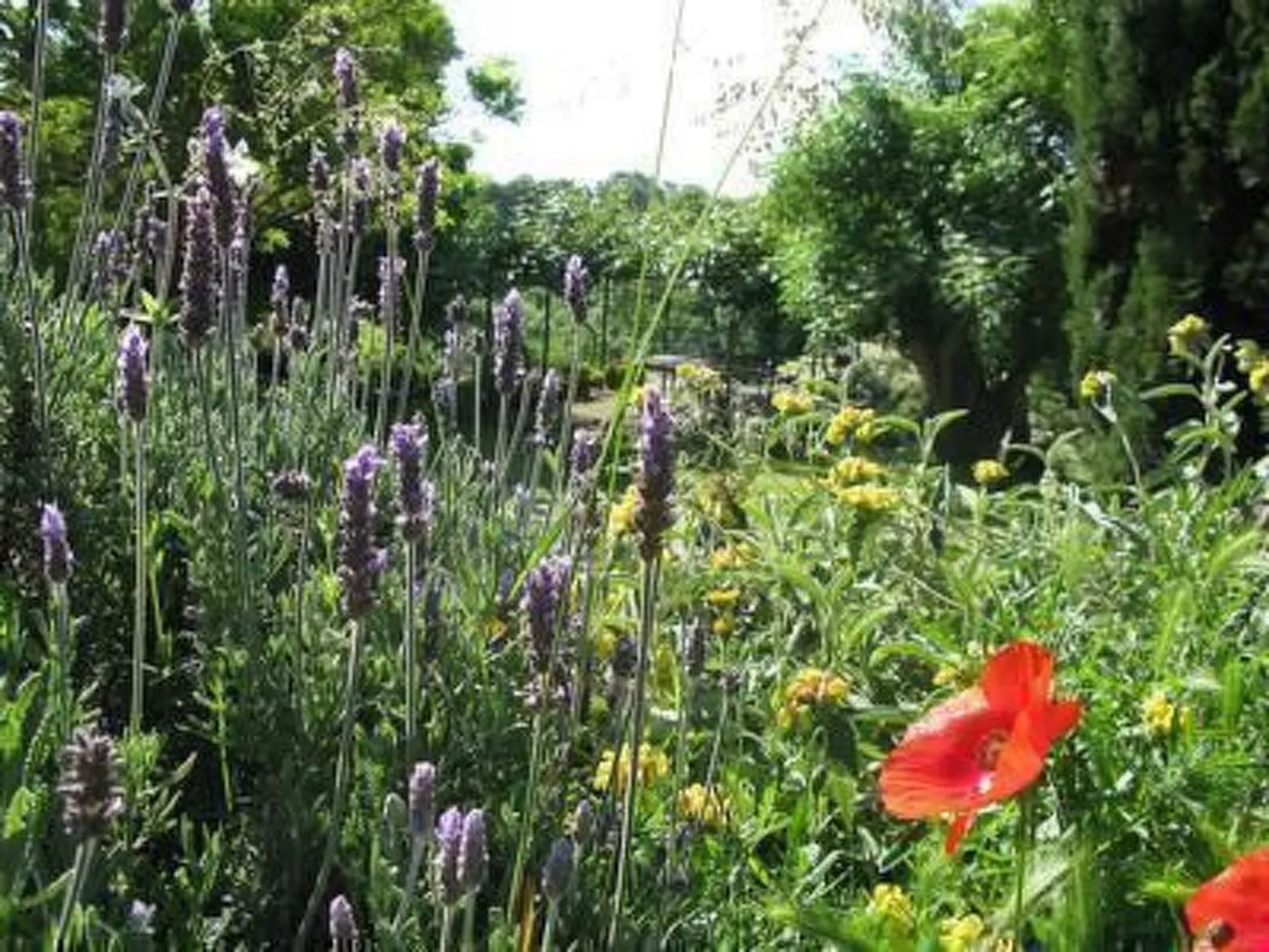 Casa Desiderio-Image-tags.info