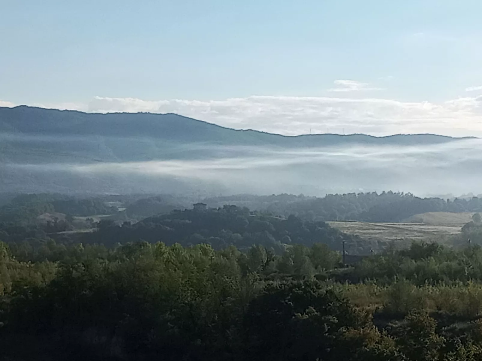 Flache Linde-Draußen