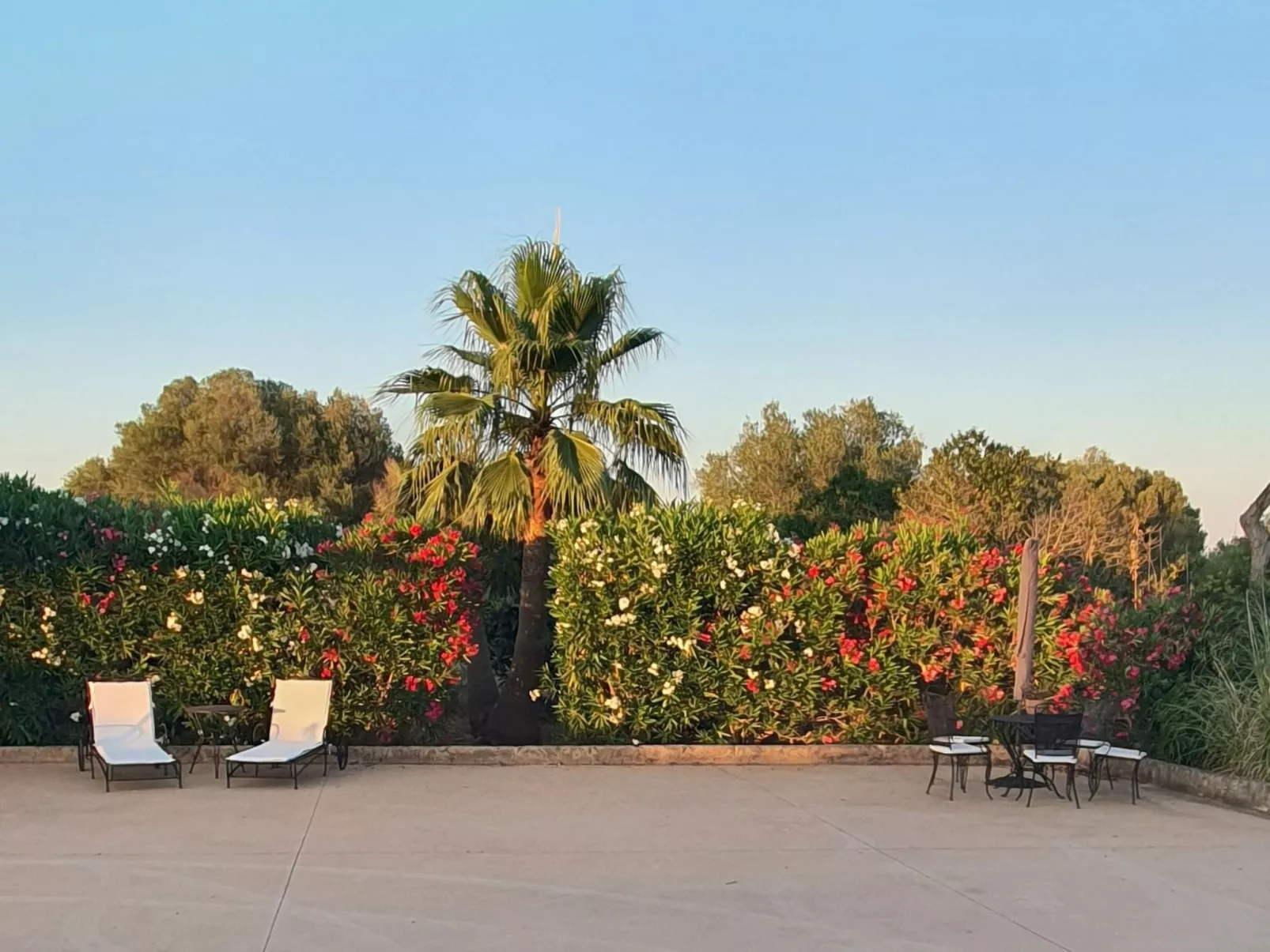 Finca SON FRED, Campos.-Draußen