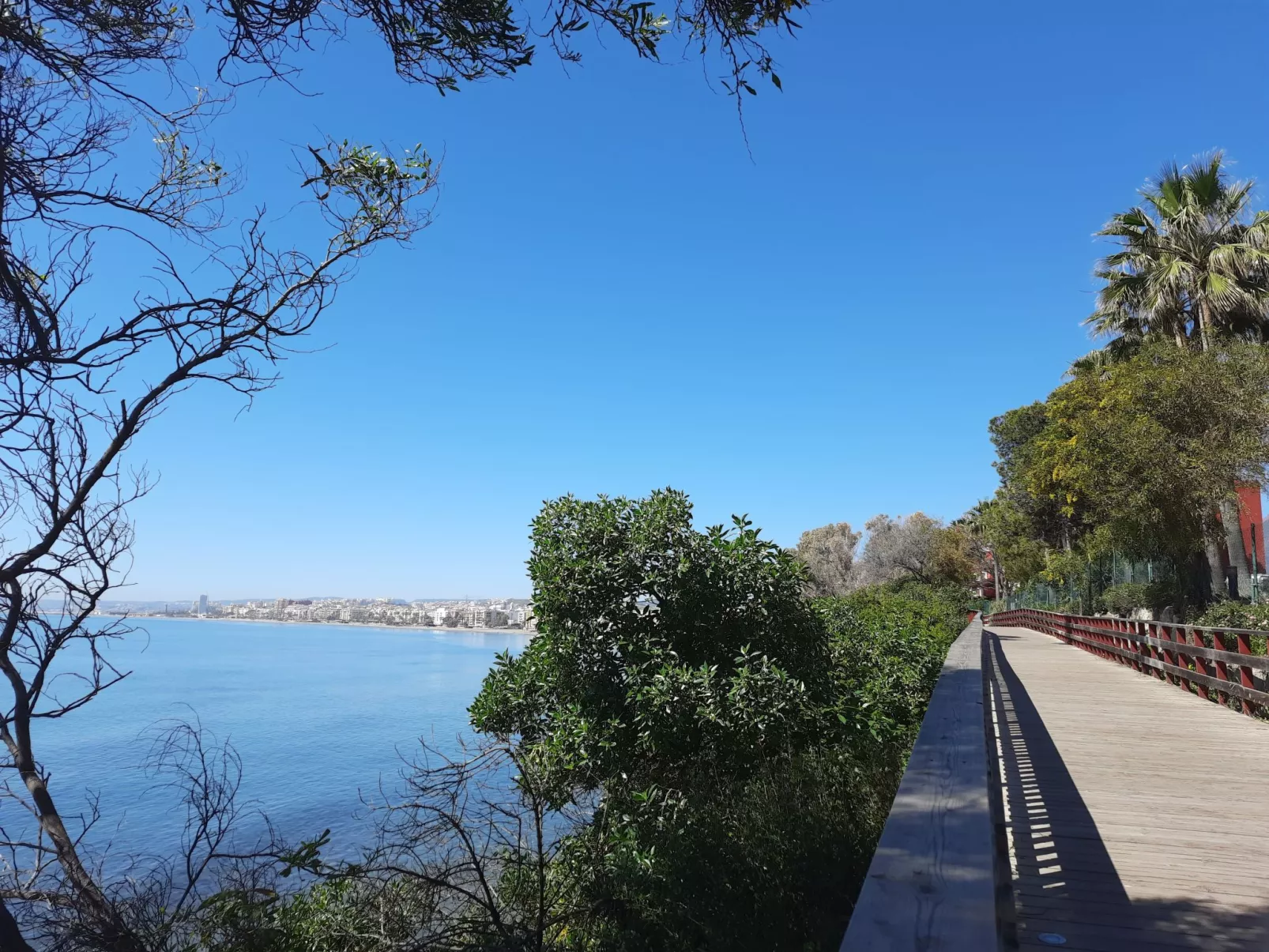 Kaehe's Paradise-Outside