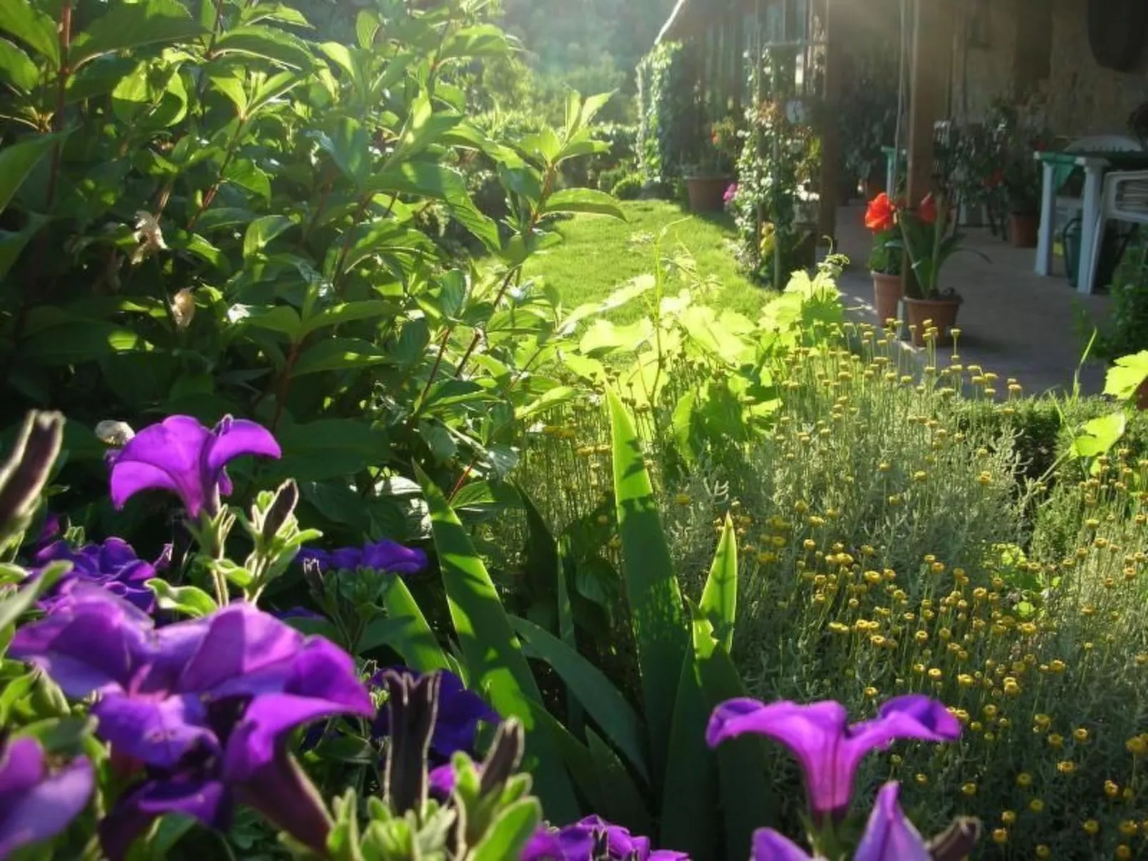 Bauernhaus Biancospino-Draußen