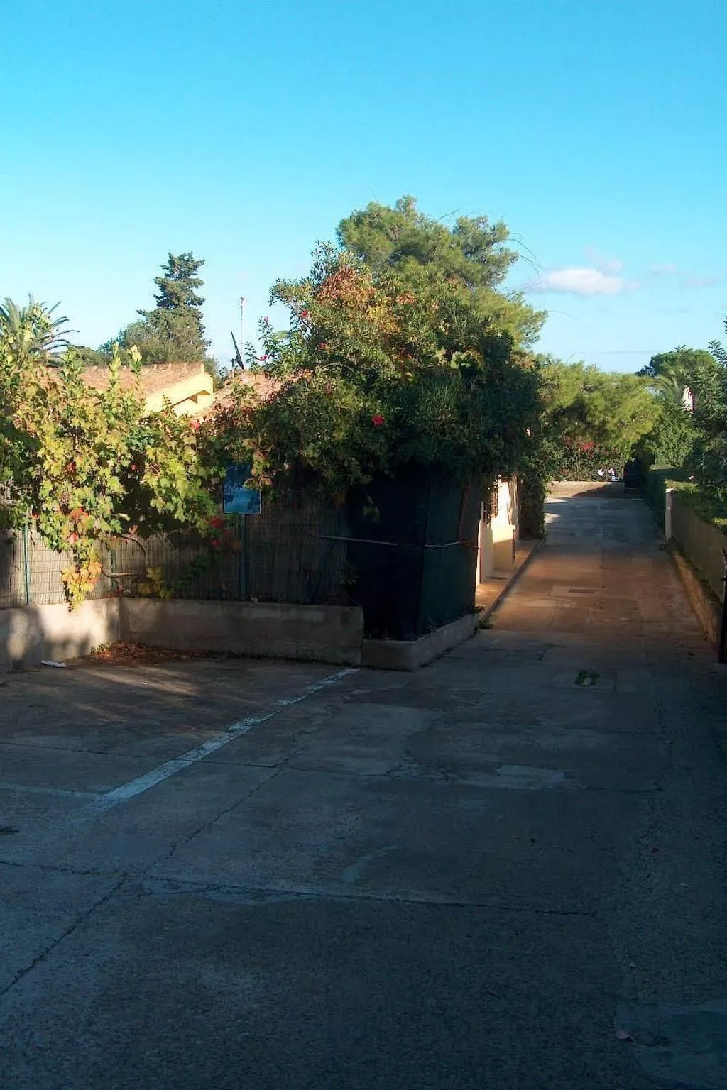 Palma direkt am Meer-Image-tags.info