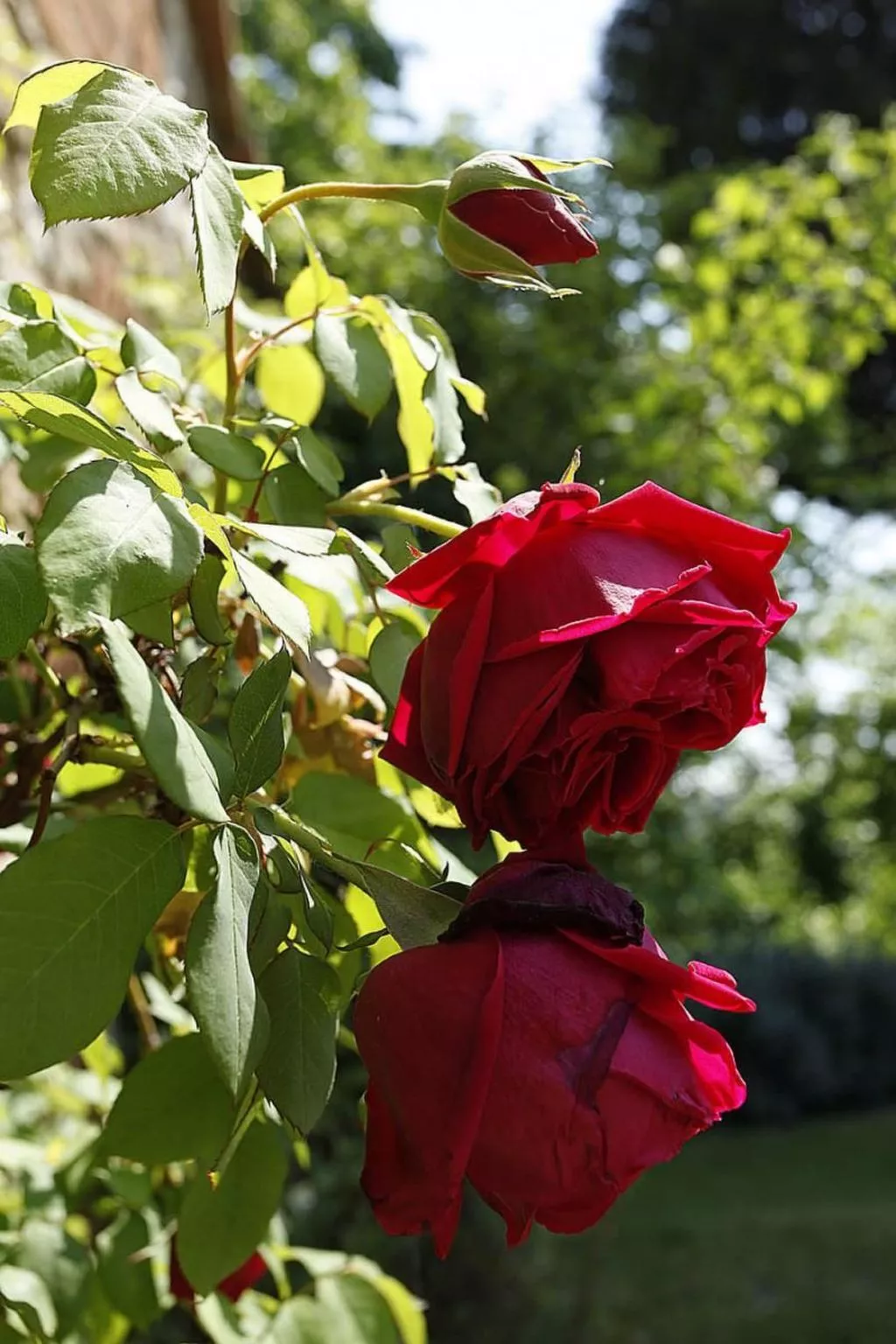 Casa Fallocchio-Outside