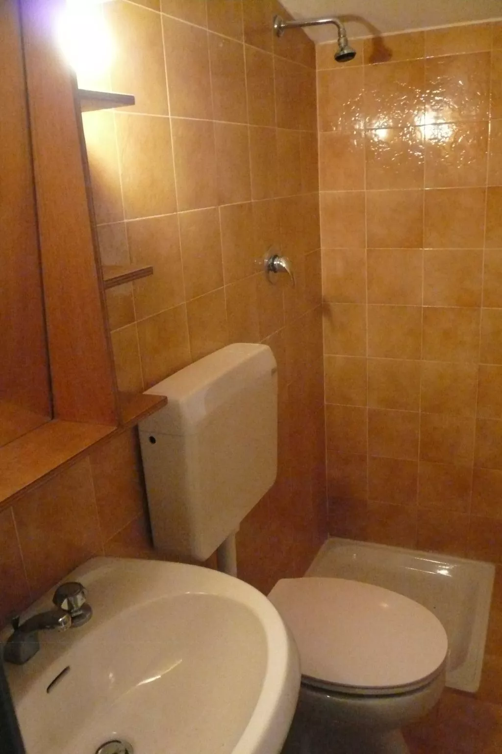 Wohnung mit Terrasse mit Blick auf den Gardasee-Inside